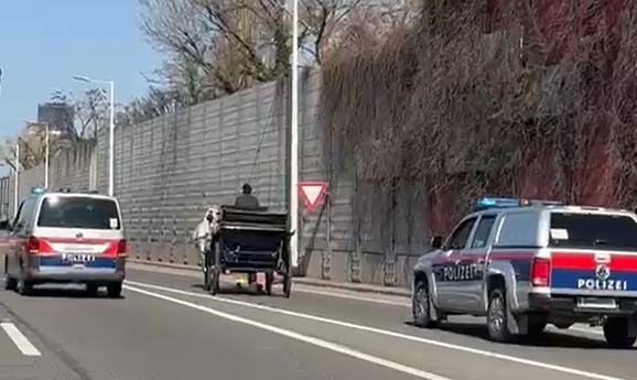 Fiaker gerät auf Autobahn – Polizei im Einsatz