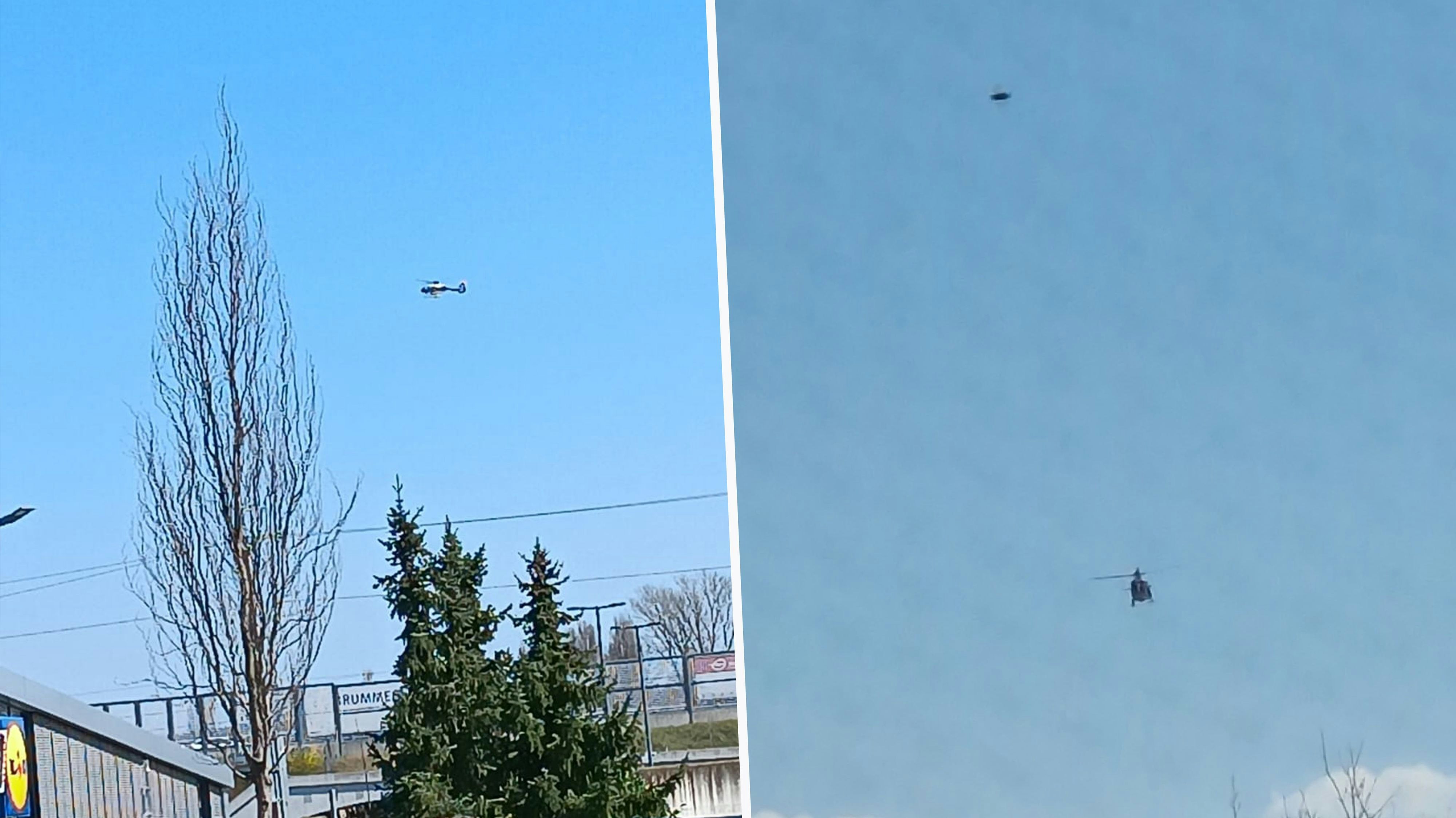 Heute.at - Arbeiter flüchtet aus Fenster! Großfahndung in NÖ