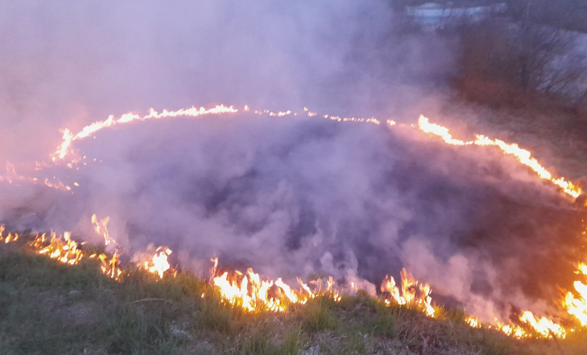 Der Brand auf der Wiese breitete sich rasch aus.