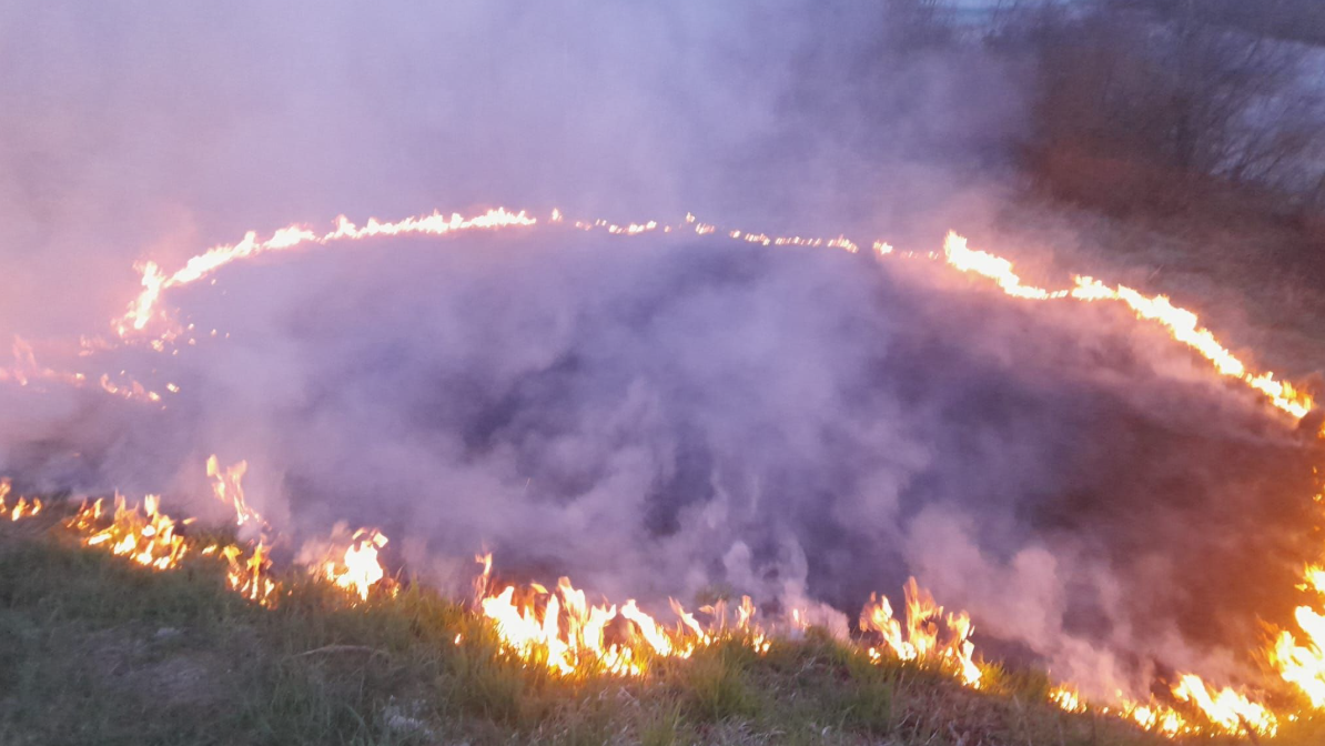 Der Brand auf der Wiese breitete sich rasch aus.