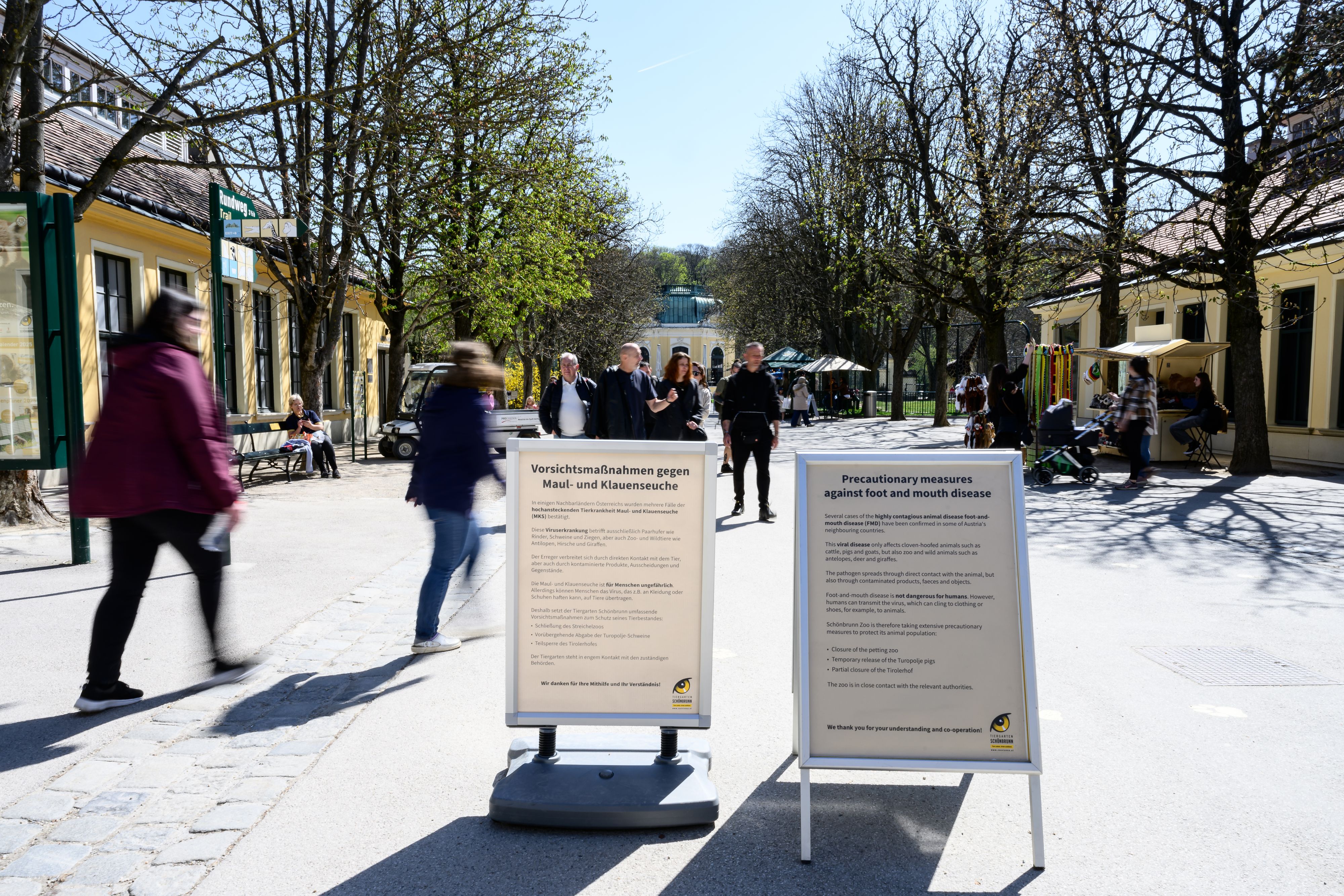 Der Wiener Tiergarten Schönbrunn hat Maßnahmen ergriffen, um seinen Tierbestand zu schützen. Zur Sicherheit wurde der Streichelzoo vorerst geschlossen.