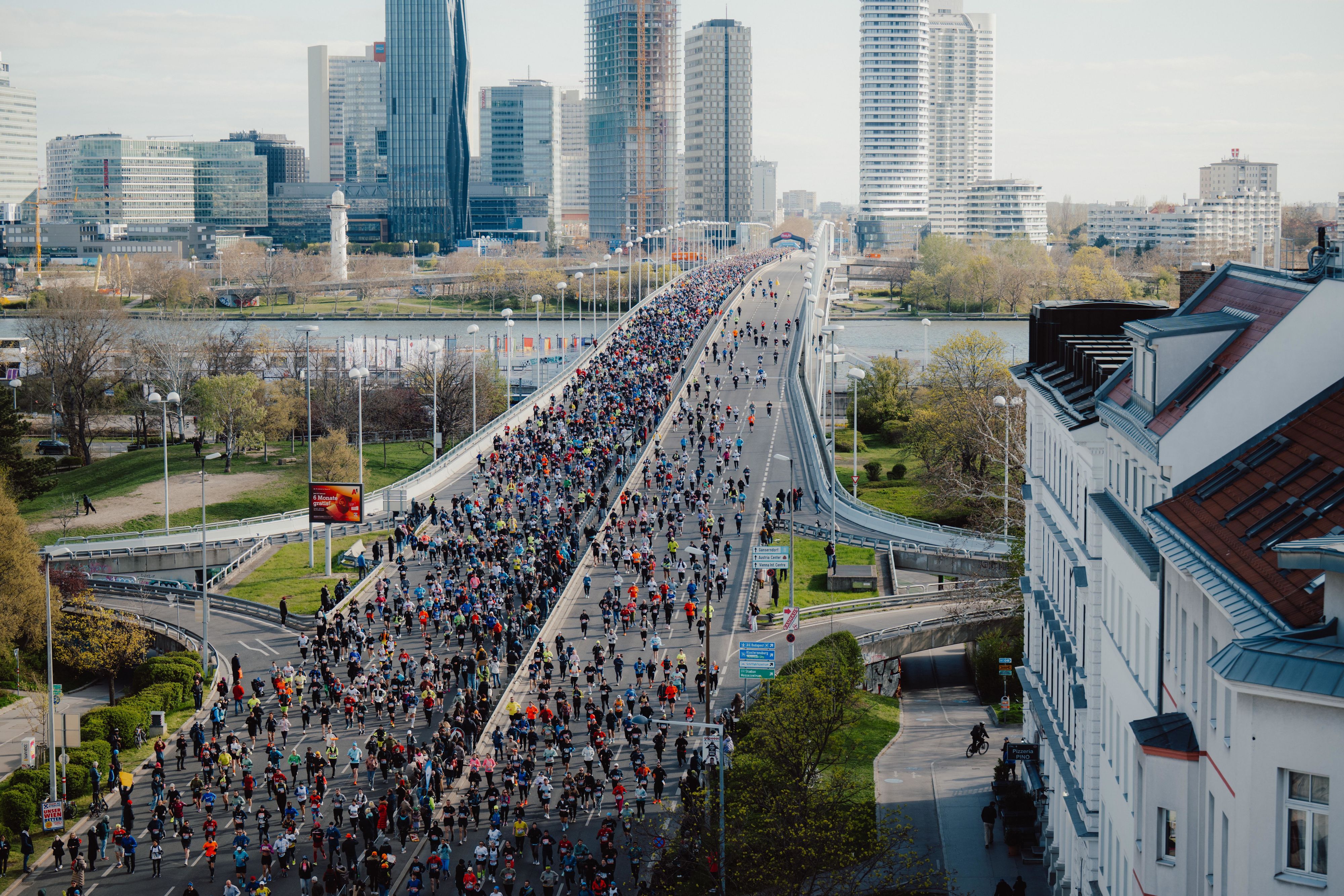 Der 43. Vienna City Marathon startet am Wochenende.