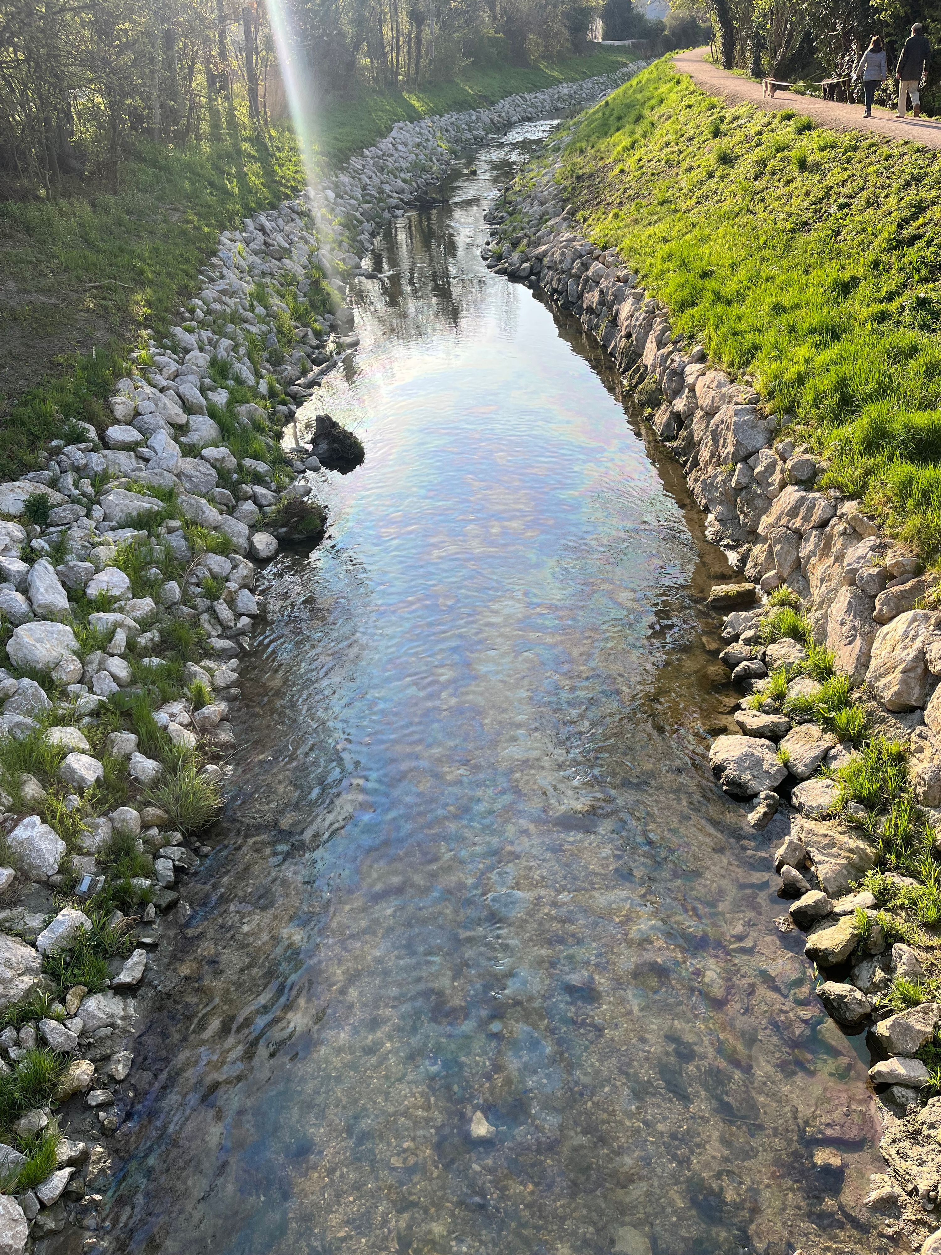 In den Liesingbach wurde illegal Diesel-Öl eingeleitet.