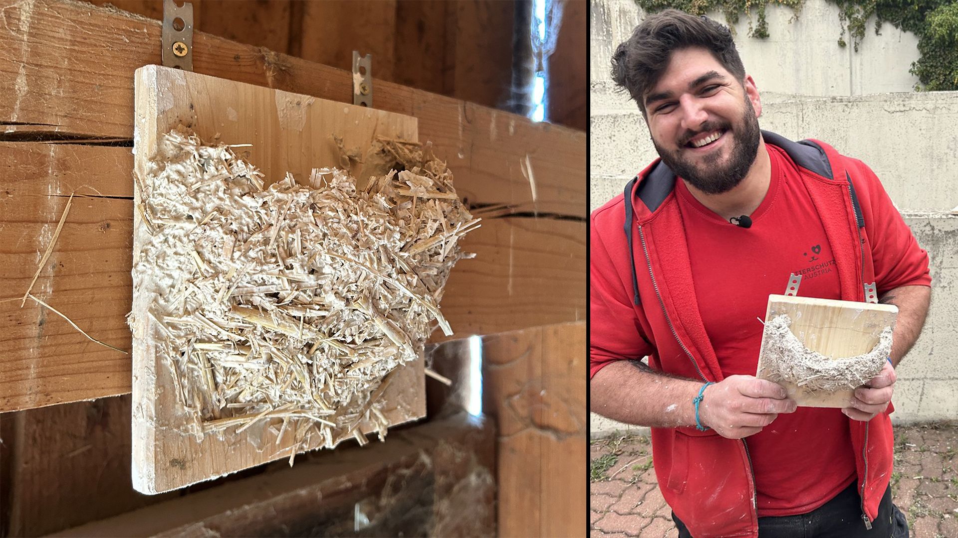 Auch Tierheimleiter Stephan Scheidl konnte offenbar sein Handwerkstalent schon unter Beweis stellen.