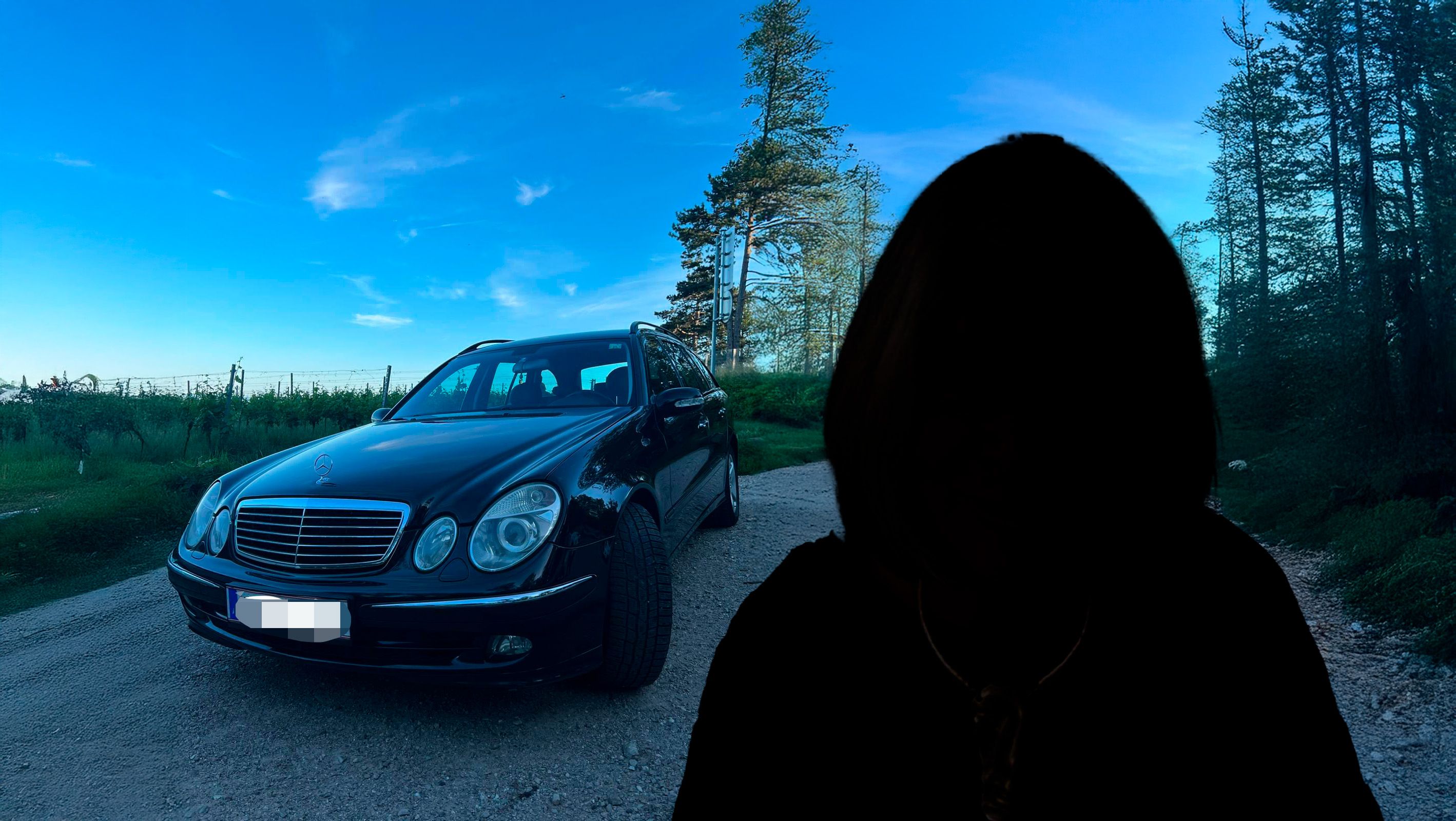 Das Fahrzeug der Wienerin, die anonym bleiben will (r.,)