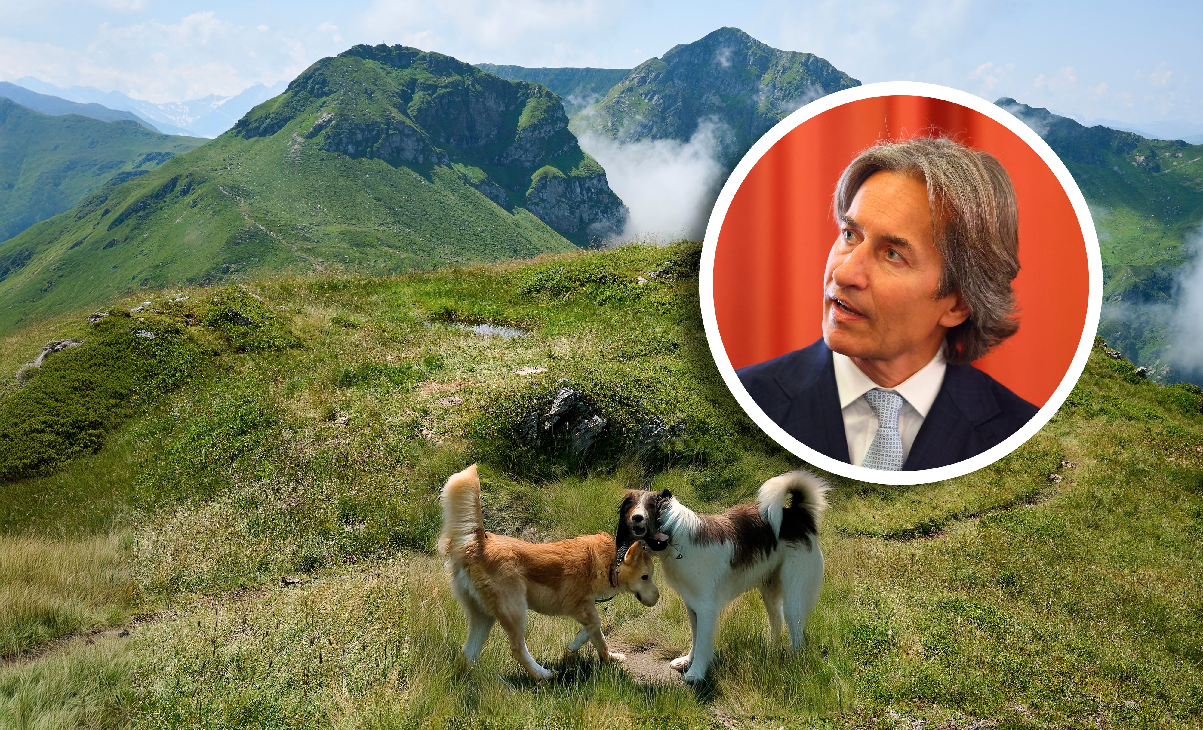 Karl-Heinz-Grasser in einer 