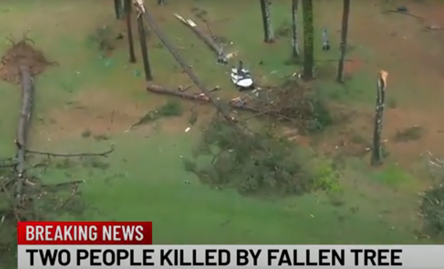 Das Golfcart wurde von einem Baum getroffen.