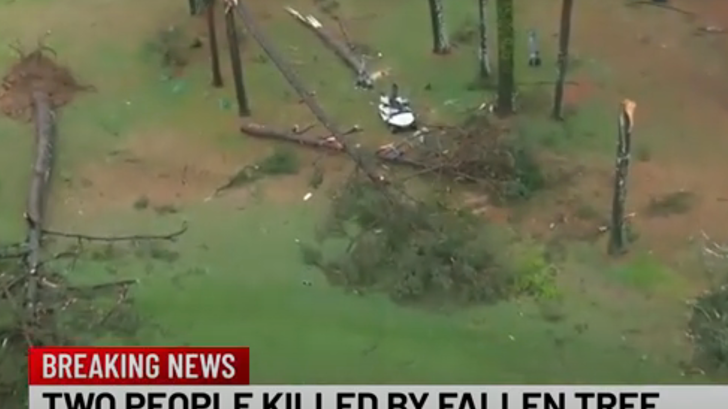 Heute.at - Golf-Tragödie! Vater und Sohn von Baum erschlagen