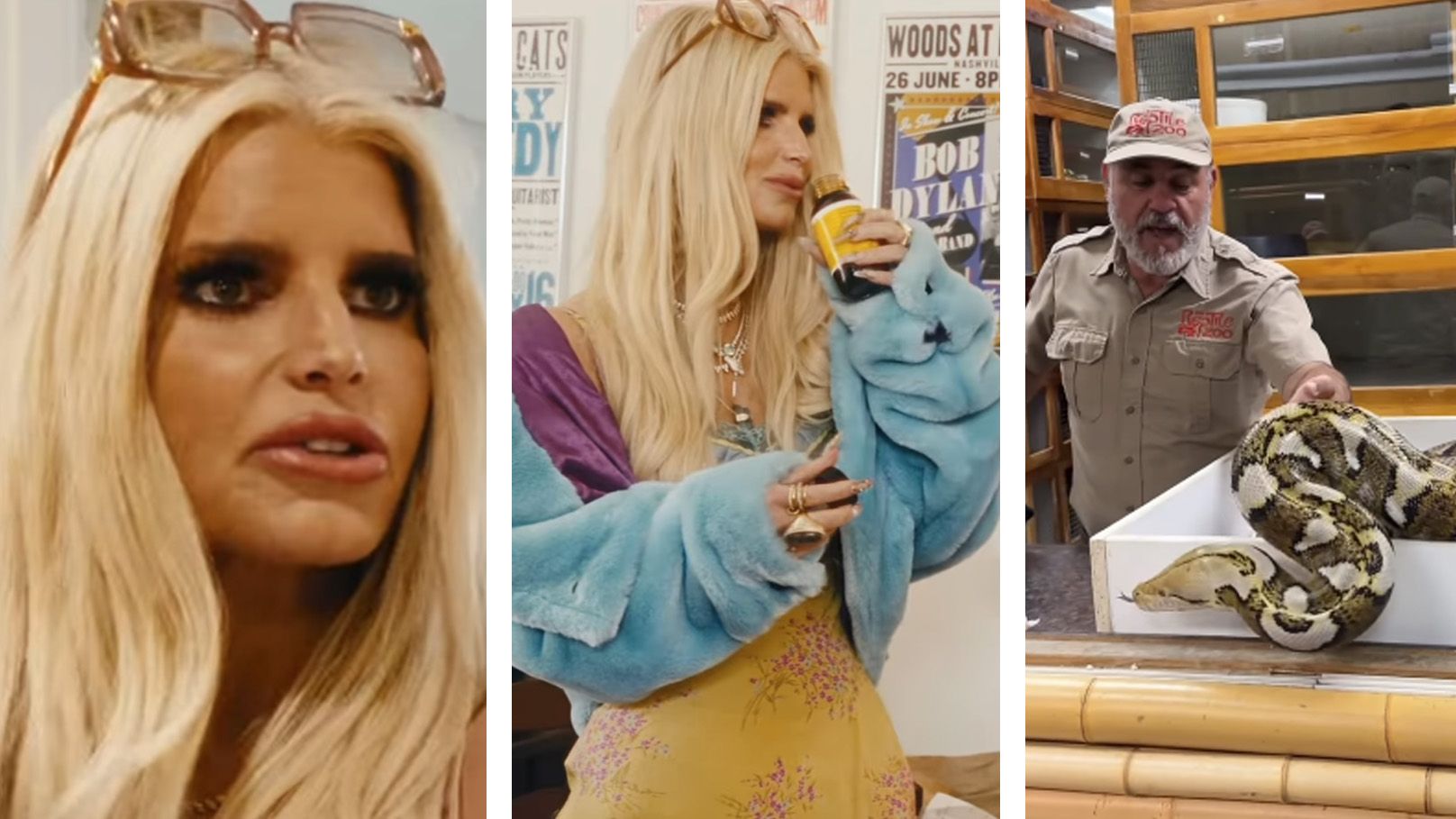 Zoologe Jay Brewer ist skeptisch wegen Jessica Simpsons viralen Schlangen-Cocktail.