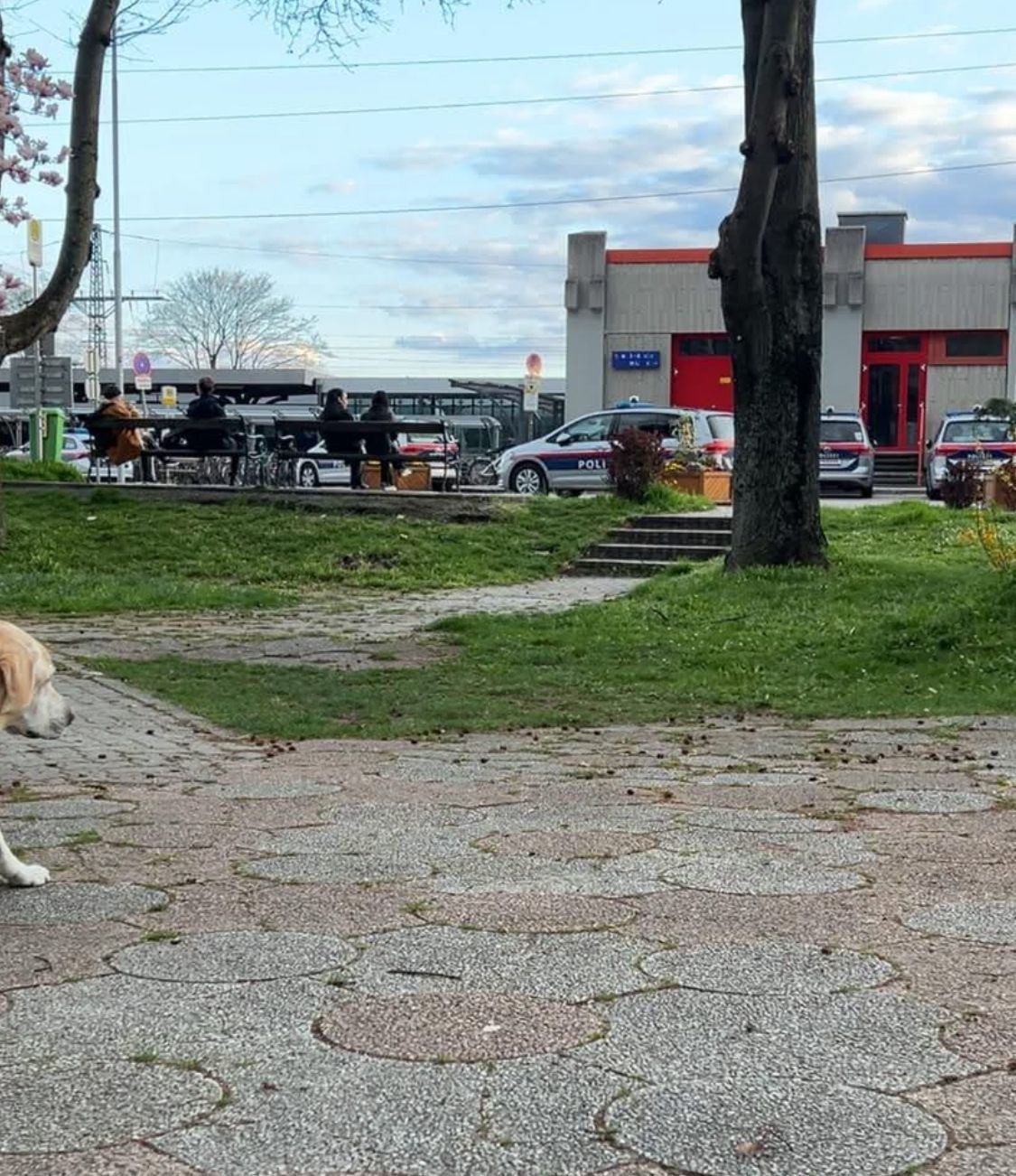 Der Bahnhof in Stockerau ist aufgrund eines Großeinsatzes gesperrt