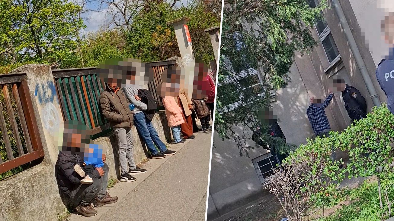 Beim Waldmüllerpark in Favoriten endete die Reise der insgesamt zehn Personen.