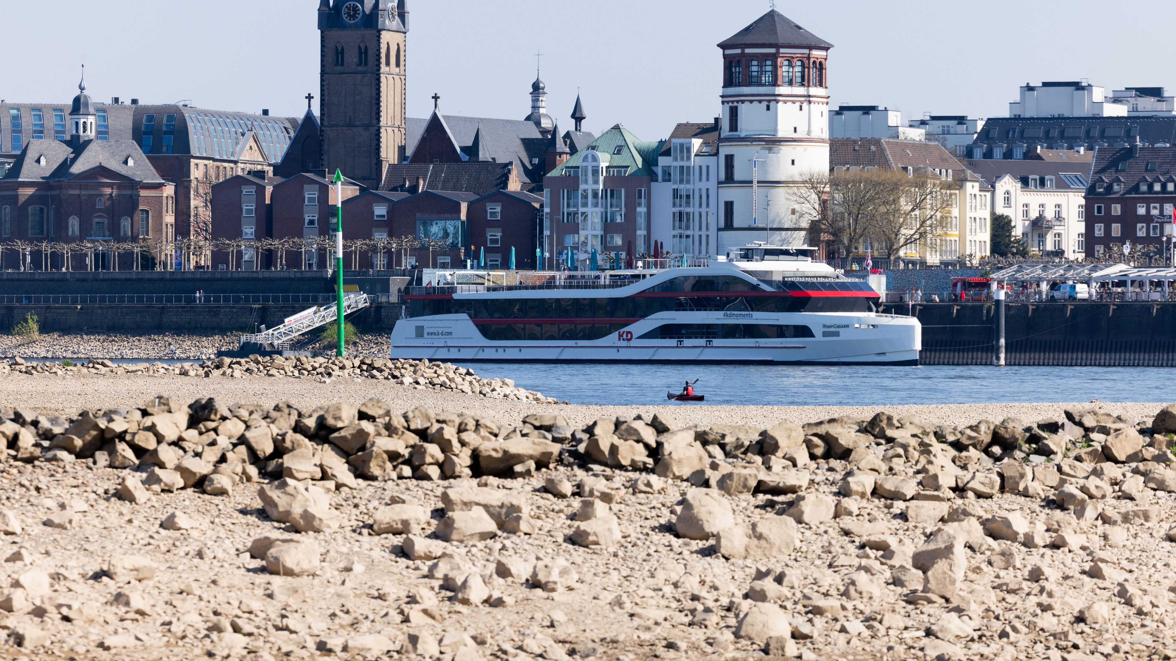 Düsseldorf-Oberkassel am Rhein: Niedrigwasser und ein staubiges Ufer sind die Folge der fatalen Trockenheit