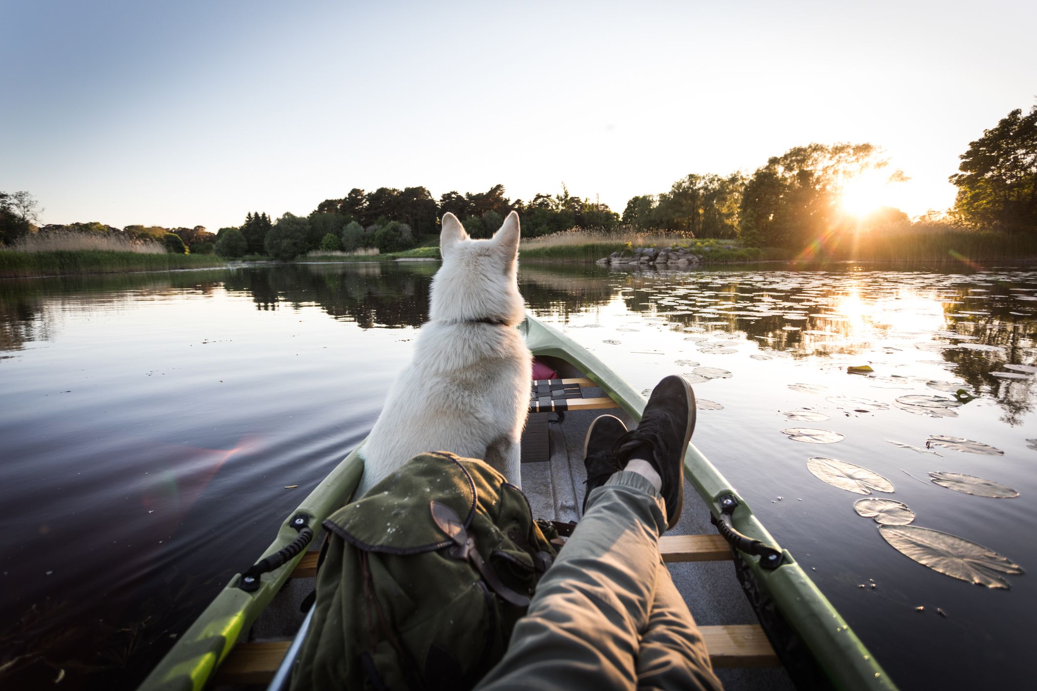 Egal ob Berge, Strand, Meer, See – Jeder Urlaub wird mittlerweile viel lieber mit dem Hund genossen. 