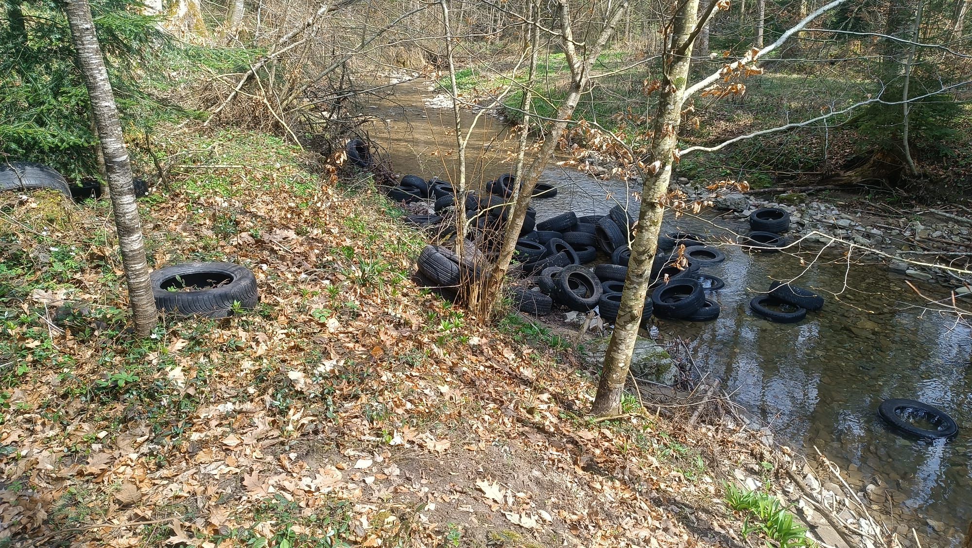 Insgesamt 60 Reifen wurden in Garsten (Bez. Steyr-Land) einfach in einen Bach geworfen.