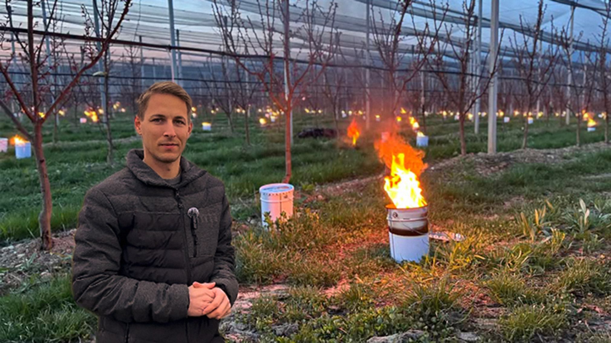 Christoph Simon kämpft zusammen mit seinem Bruder Michael um die Marillenernte.
