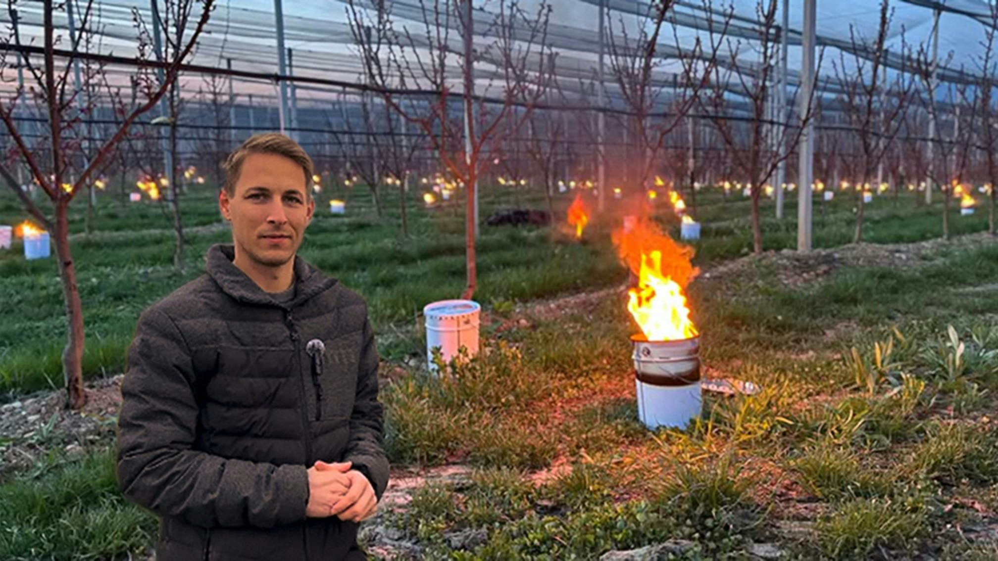 Christoph Simon kämpft zusammen mit seinem Bruder Michael um die Marillenernte.