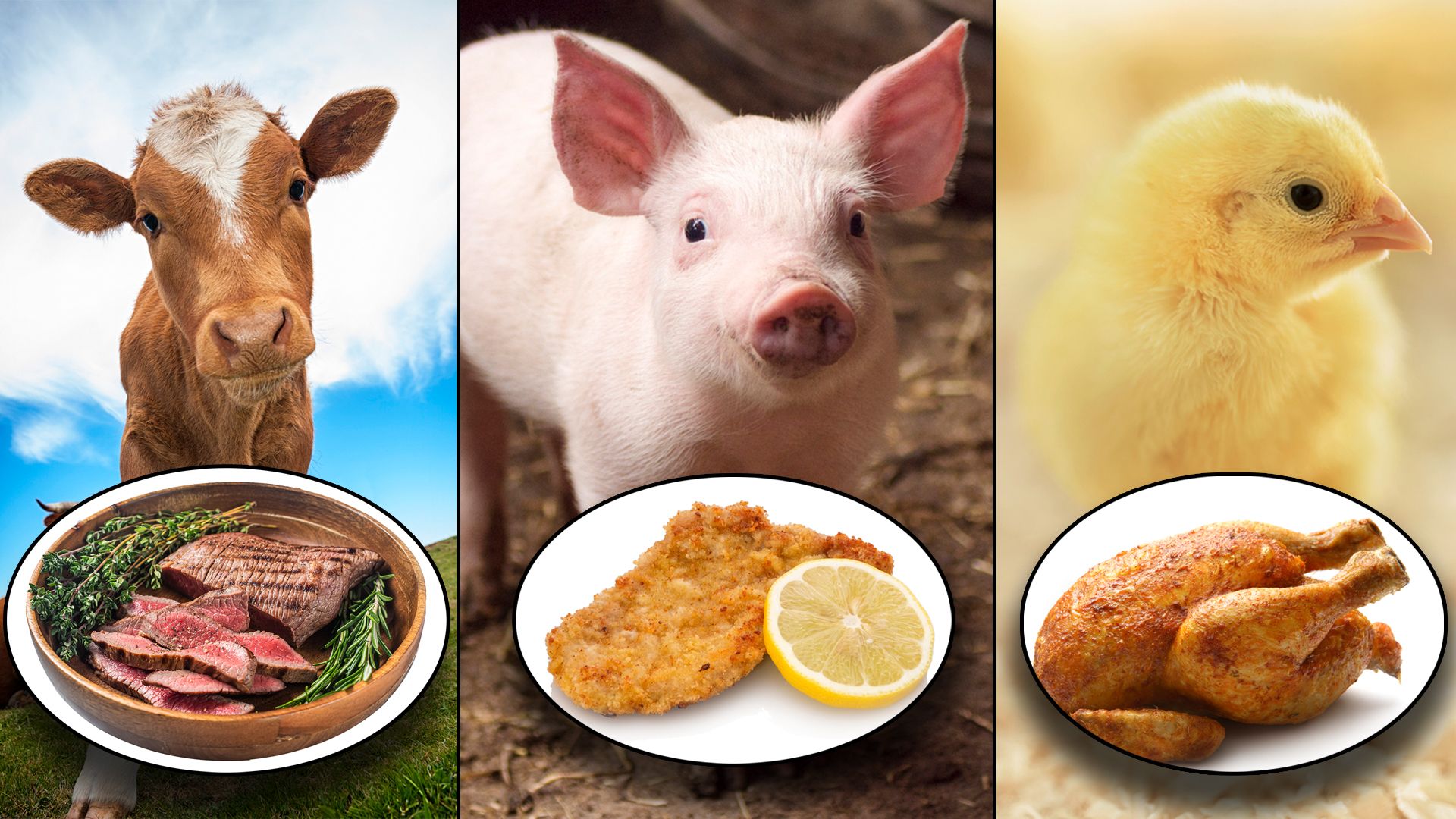 Pro Woche isst der Österreicher mehr als ein ganzes Kilogramm Fleisch.