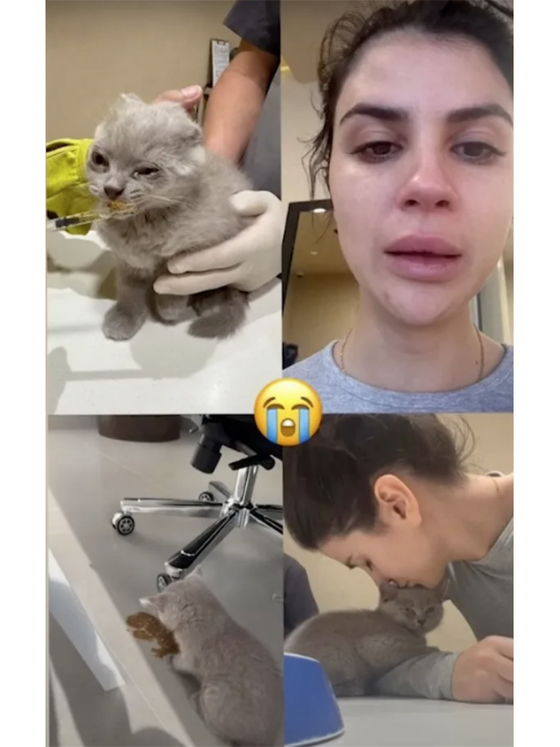 Influencerin Zara Secret teilt auf Instagram das Leiden ihrer Katze.