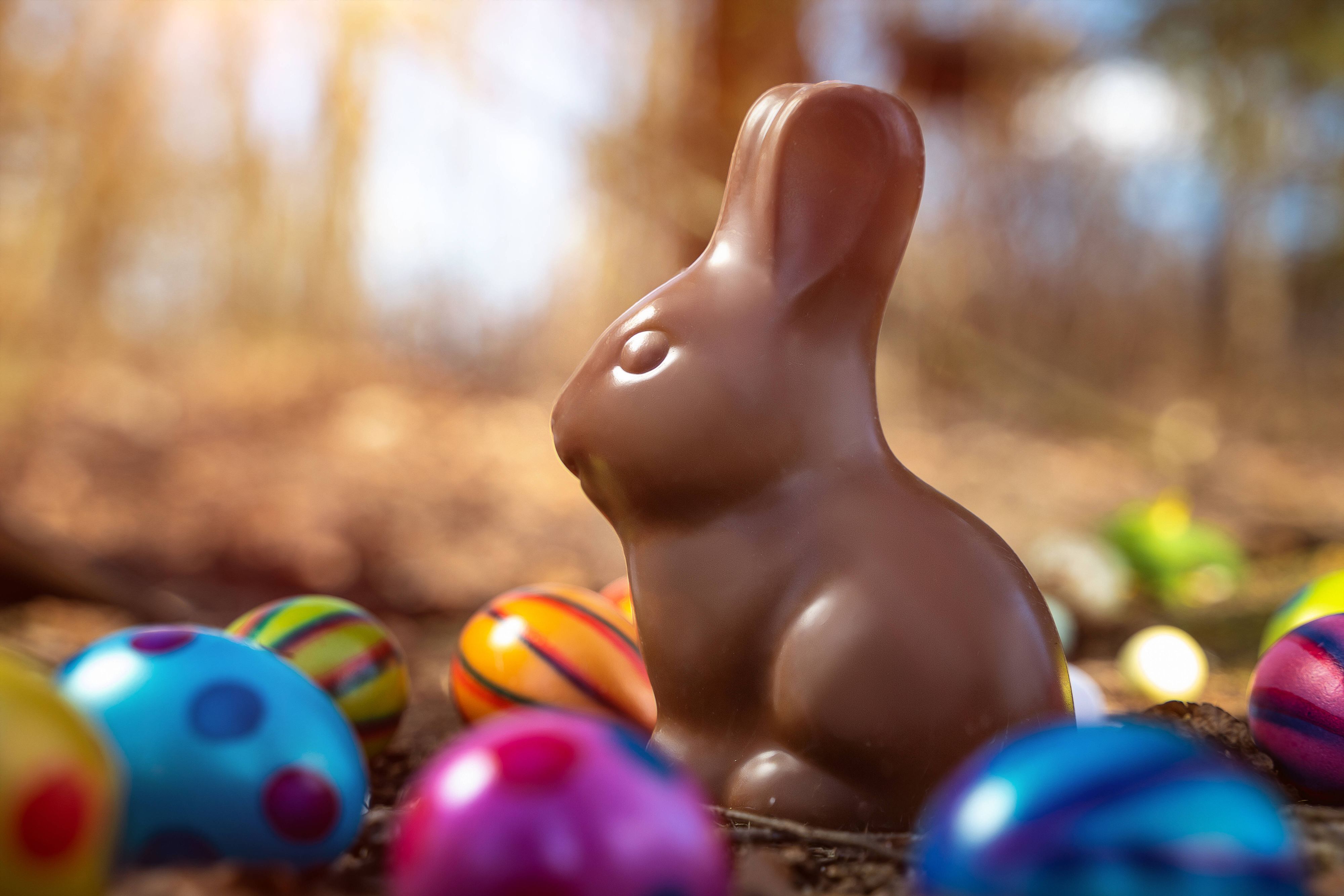 Rekordpreise für Kakao auf dem Weltmarkt schlagen sich bei Schoko-Hasen, -Küken und Co. nieder.