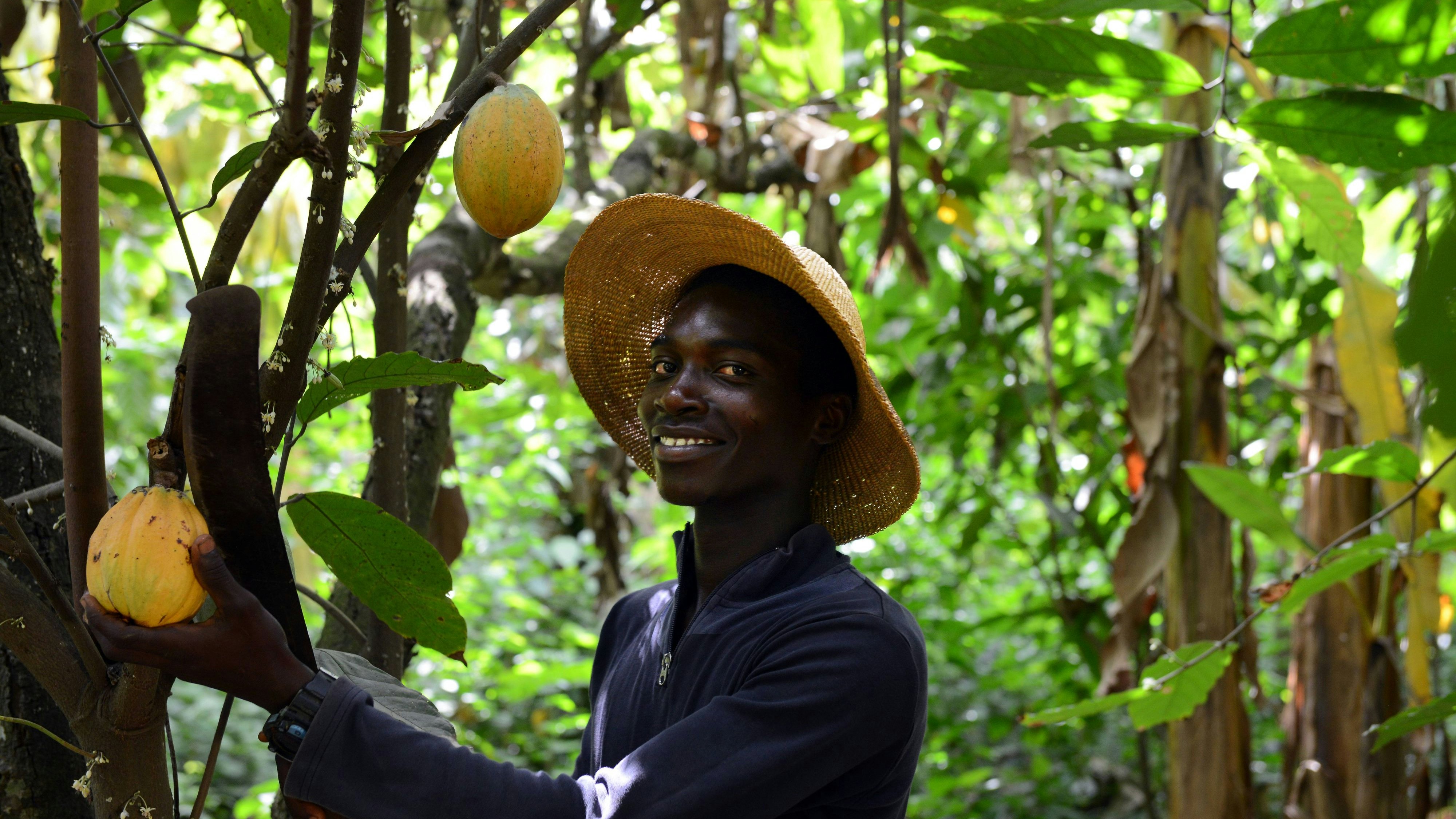 Von den Supermarktpreisen bekommen Kakaobauern gerade einmal neun Prozent.