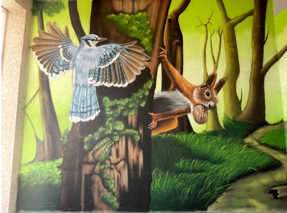 Die Murals auf den Gemeindebauten werden in einem Bilderbuch festhalten.