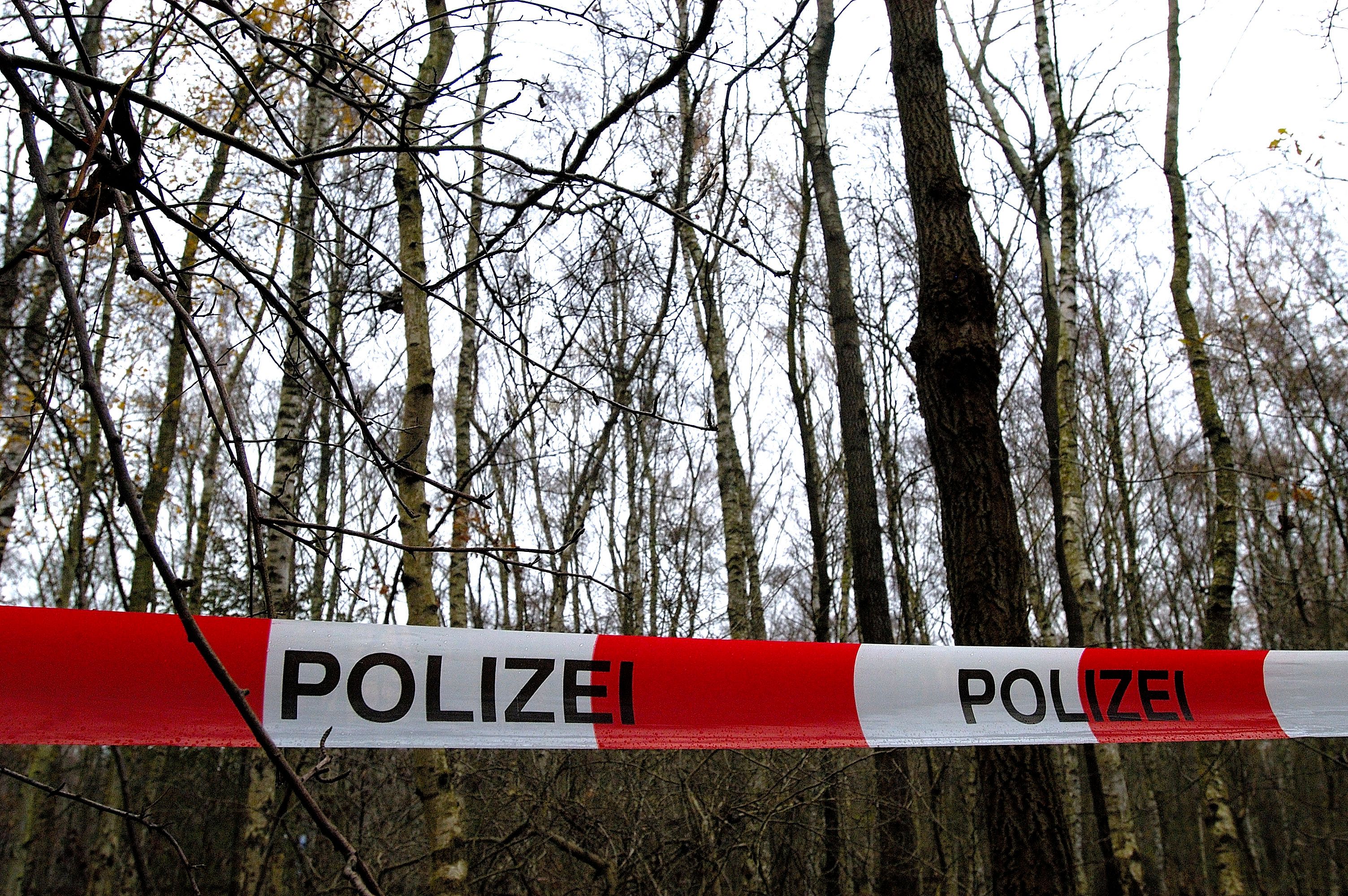 Die Leiche wurde in einem Wald in Triest entdeckt. (Symbolbild)