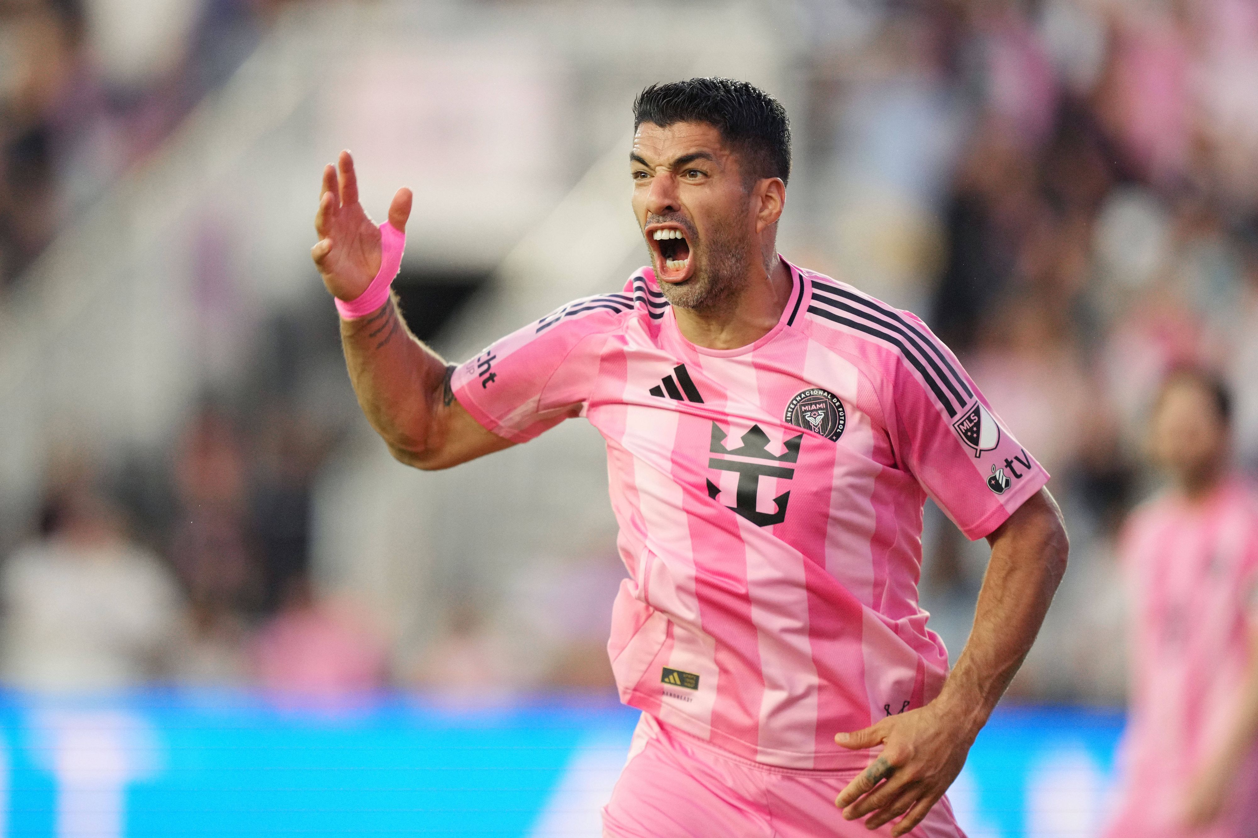 Luis Suarez hat den nötigen Biss.