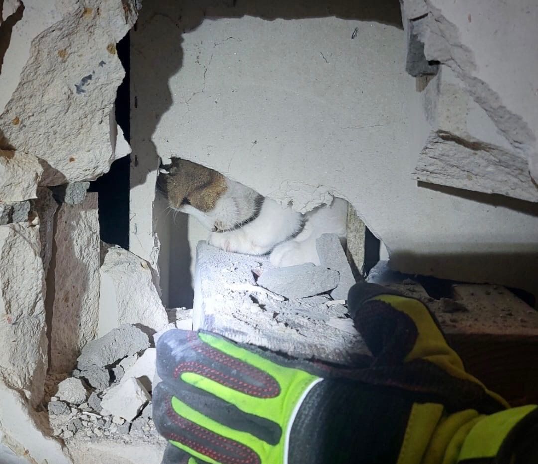 Fast geschafft: Die Feuerwehr musste mit schweren Bohrhämmern den Kamin aufstemmen.