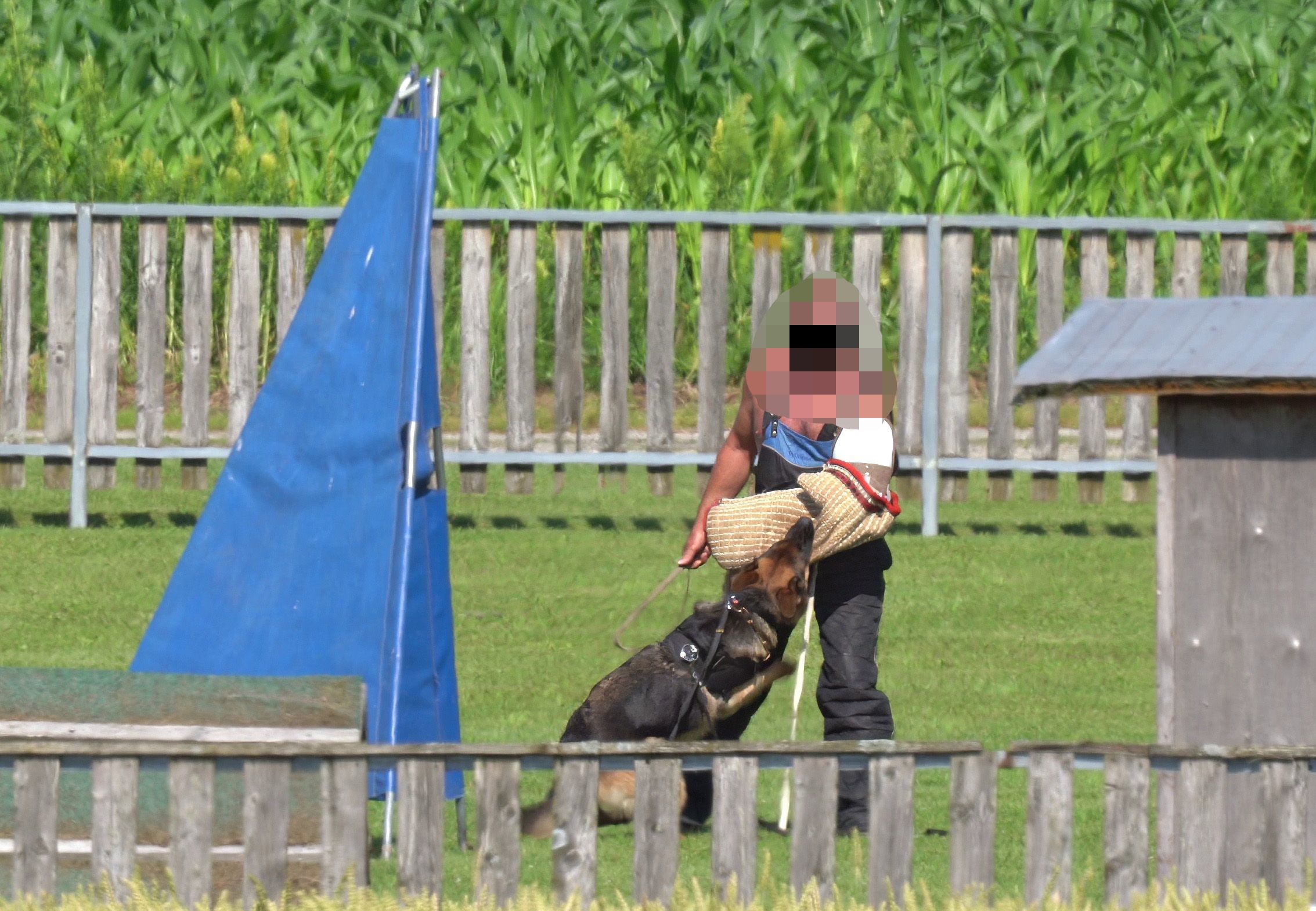 Derartige Angriffs- und Beißtrainings sind ab sofort streng tabu.