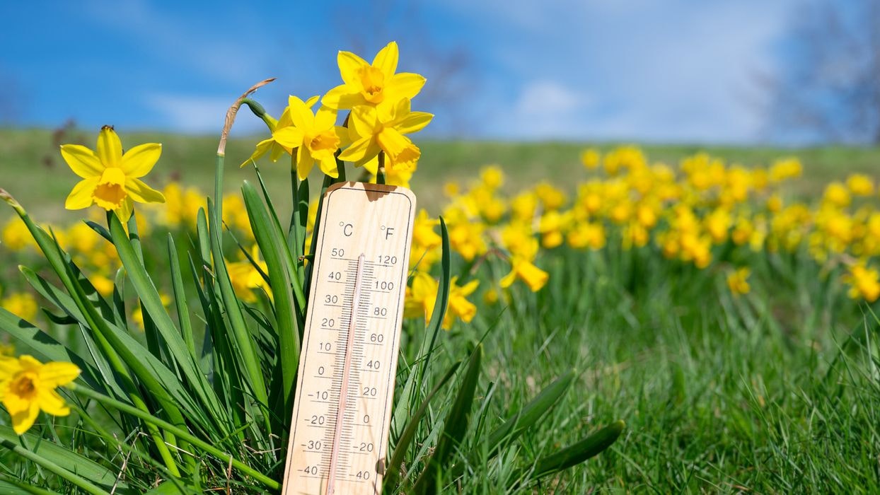 Jetzt wird es sommerlich warm.