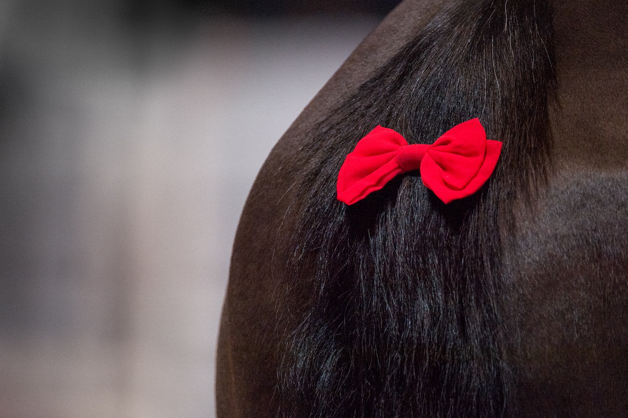 Bunte Schleifen am Pferdeschweif gelten nicht selten als Warnsignal. 