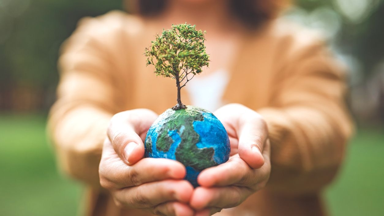 World Environment Day, Earth globe ball with growing tree in woman hand, save clean planet, ecology concept