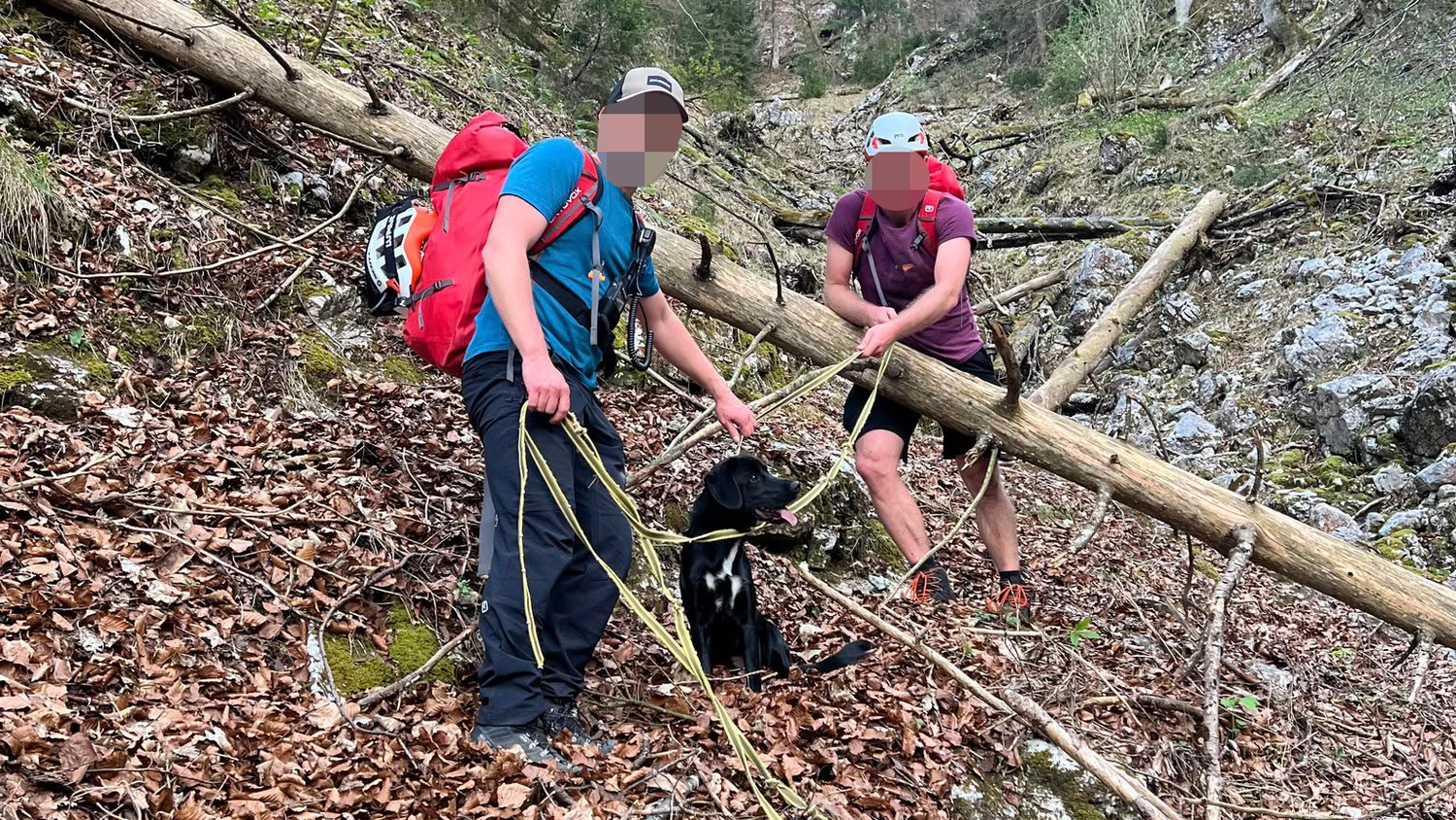 Echte Spürnasen: Die Bergretter aus Ebensee (Bez. Gmunden) fanden 