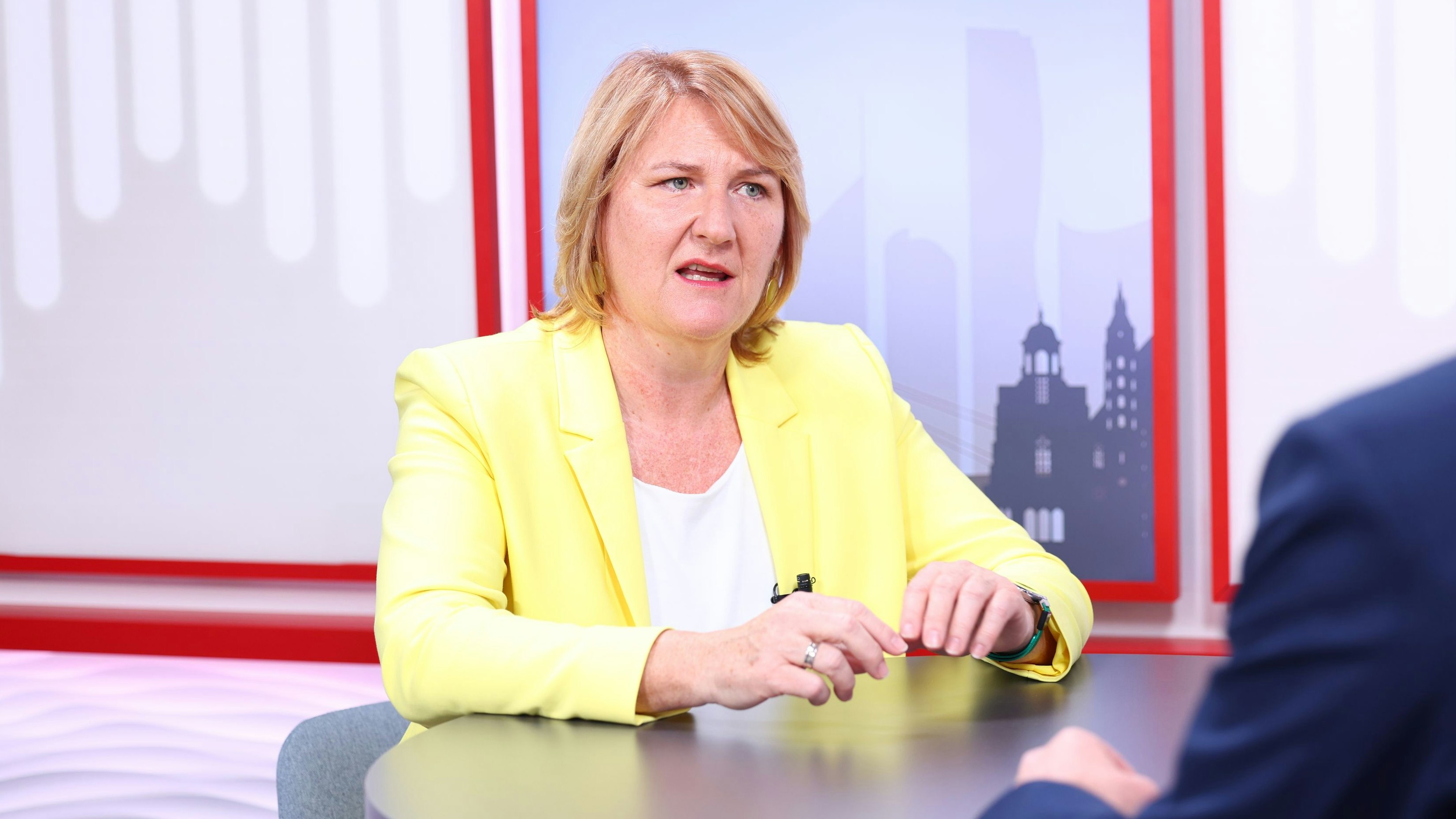 Niederösterreichs Grünen-Chefin Helga Krismer