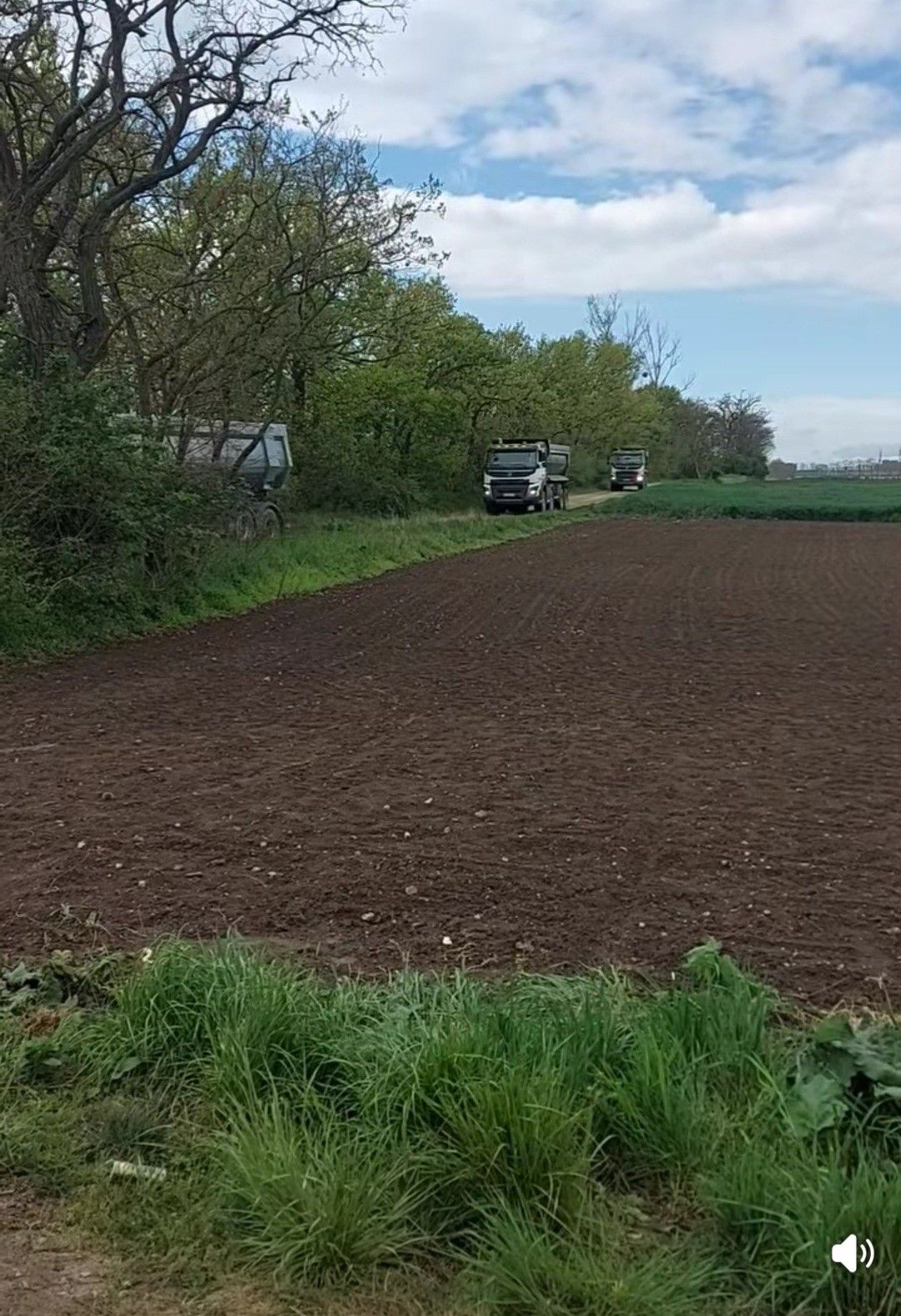 Hier fuhren die Lkw zum Massengrab.