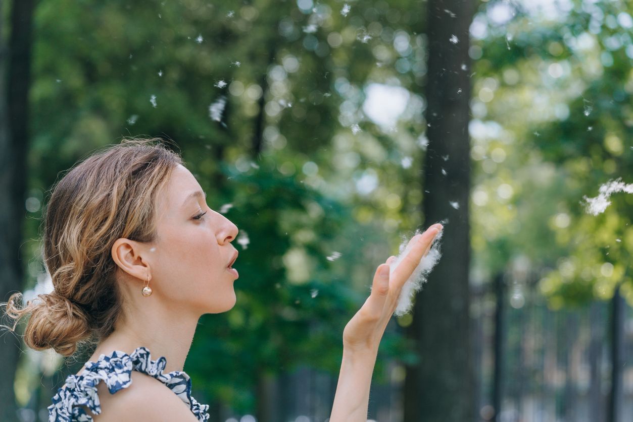 Schnee im Mai? Nein, es sind Pappelsamen.
