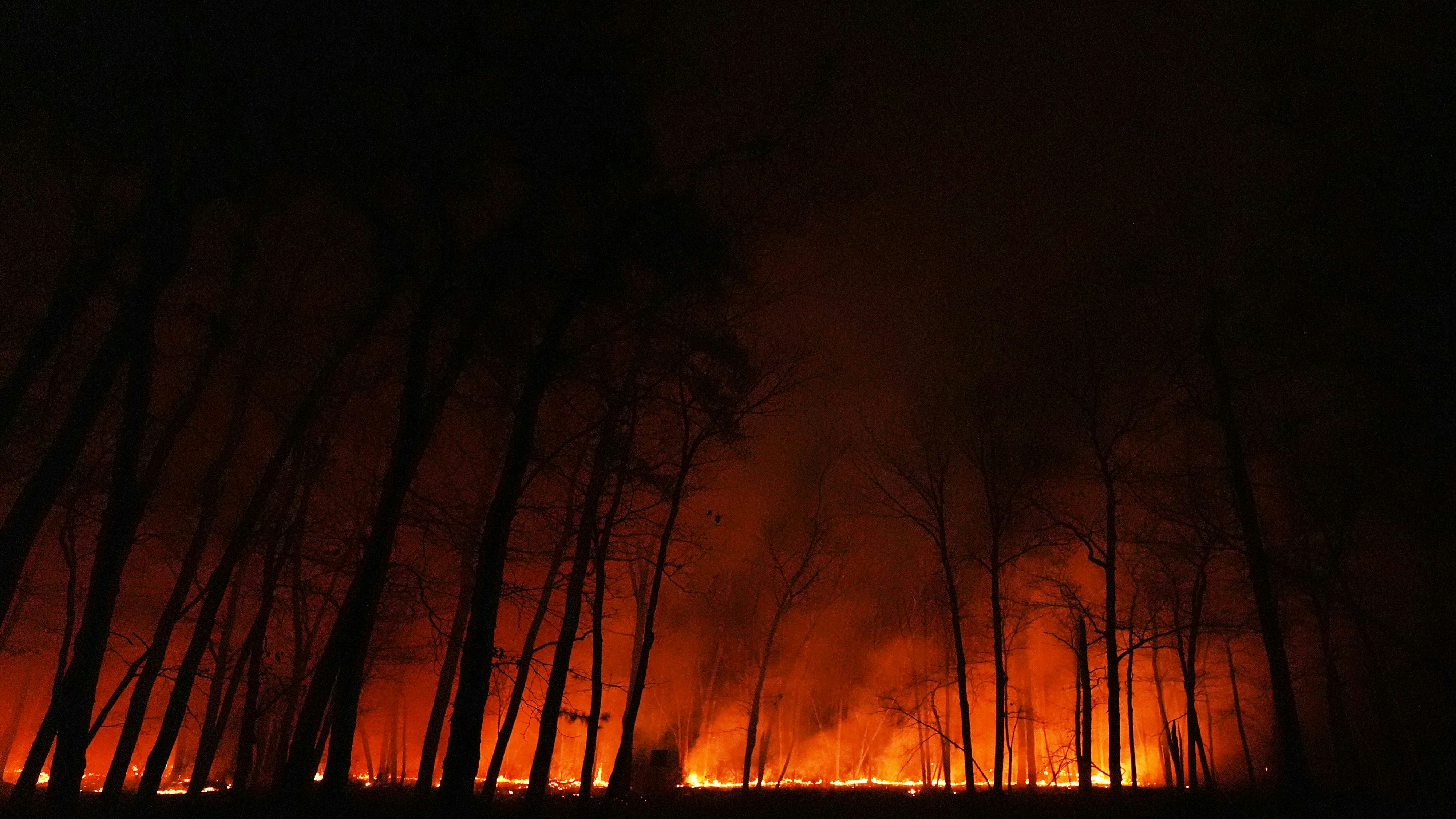 Heute.at - Rund 3.000 Menschen flüchten vor Flammen in New Jersey