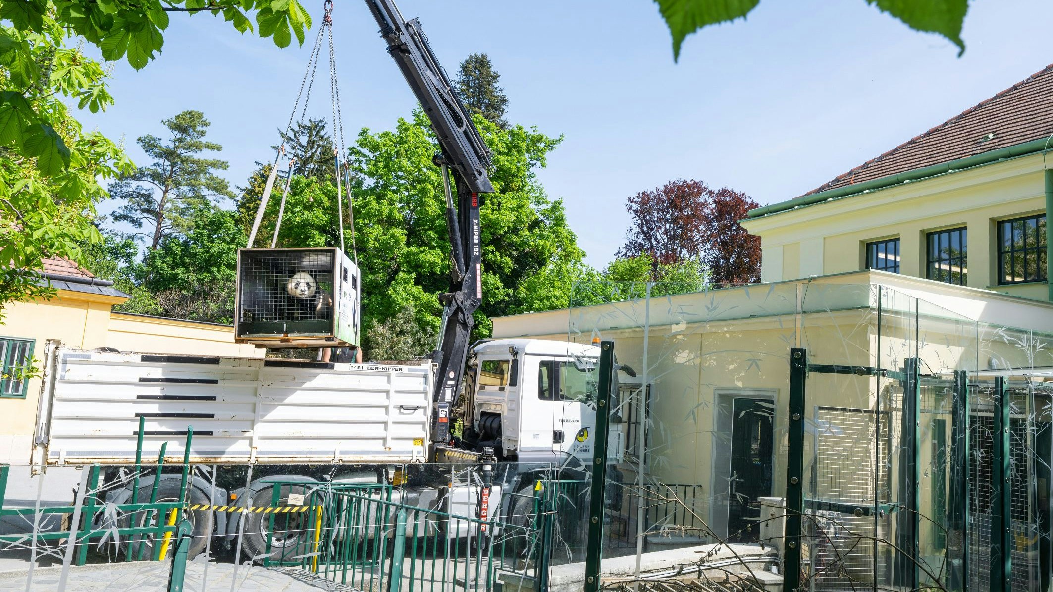 Hoch hinaus! Hier wird gerade der Panda-Bub ins Gehege verladen. 