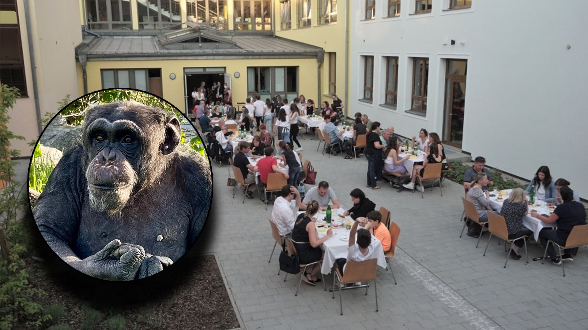 Junge Gastegeber von 10 bis 14 Jahren sorgen für einen spektakulären Abend.