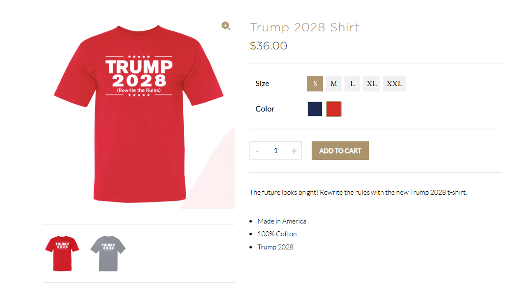 "Schreibe die Regeln um", steht darauf. Eine dritte Amtszeit Trumps wäre gegen die Verfassung.