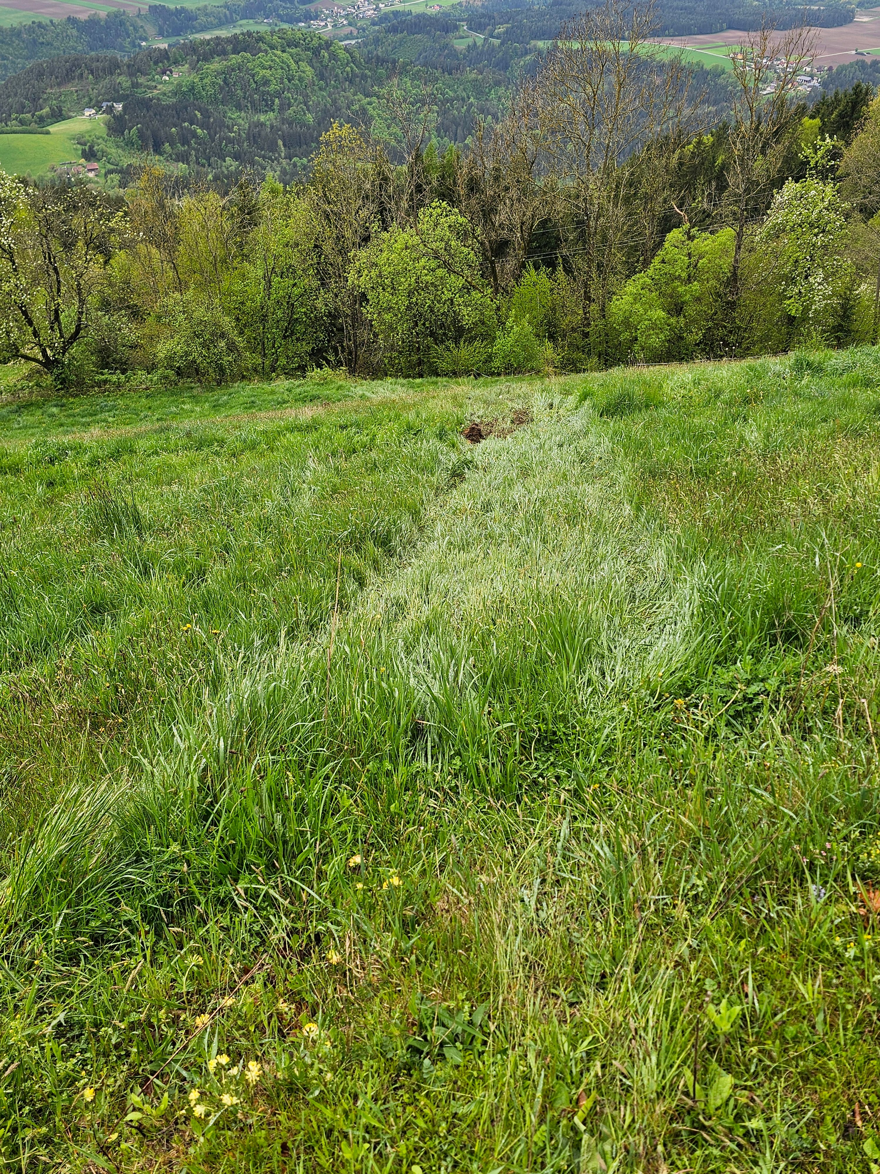 Der 48-Jährige wurde aus dem Fahrzeug geschleudert und verstarb noch an der Unfallstelle.