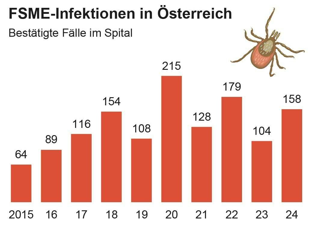 Frühsommer-Meningoenzephalitis (FSME)