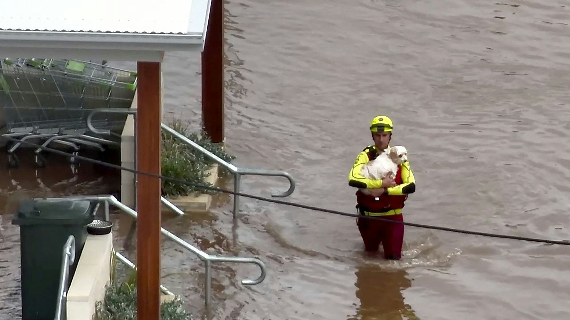 Die Feuerwehr tut ihr Möglichstes, um Menschen und Haustiere zu evakuieren, doch Nutztiere wie Rinder, Schafe und Ziegen wurden größtenteils weggeschwemmt. 