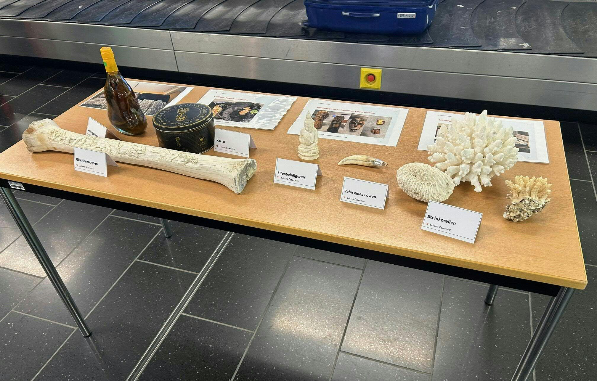 Einige der am Flughafen Wien beschlagnahmten Gegenstände.