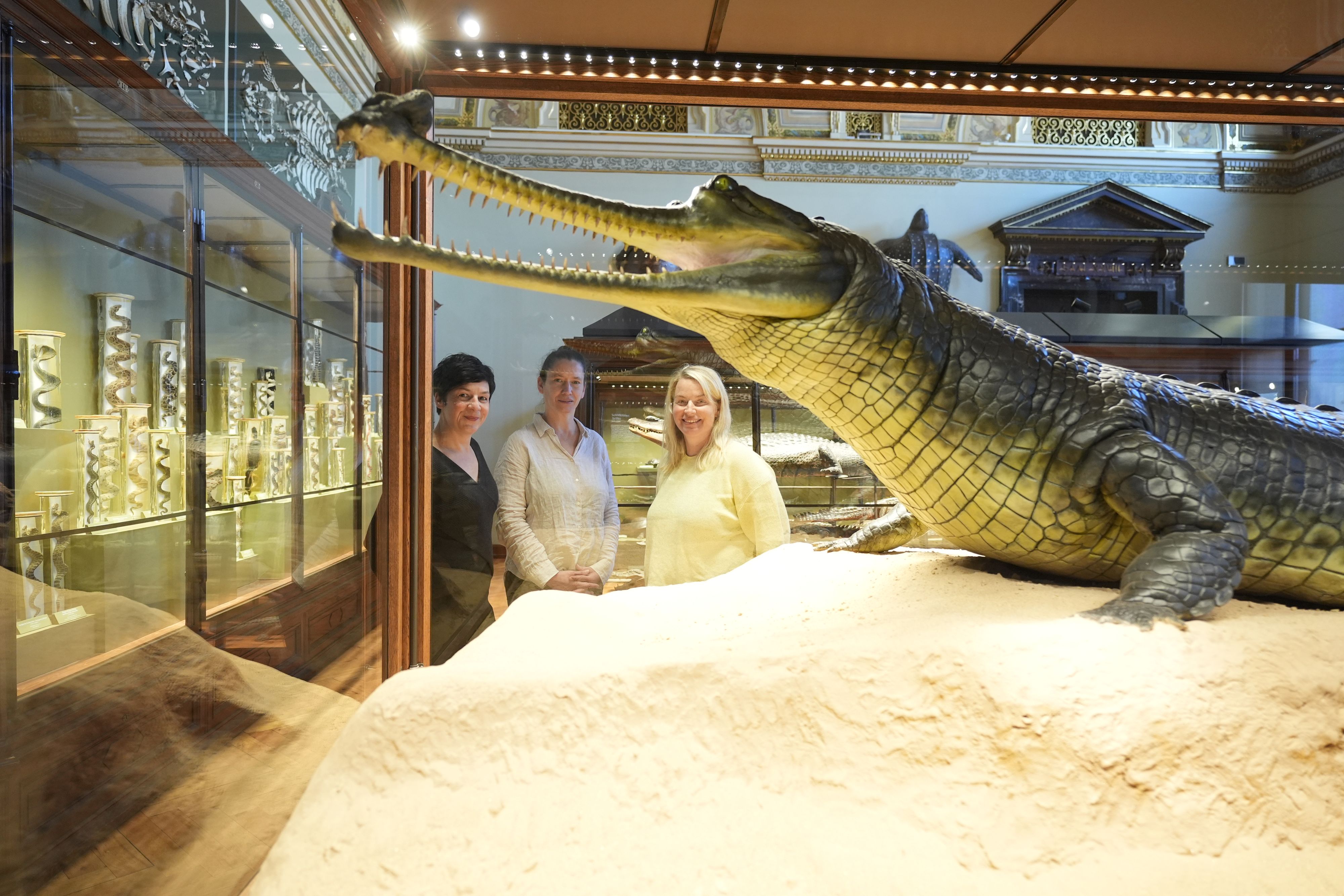 Silke Schweiger, Leiterin der Herpetologischen Sammlung und die Restauratorinnen&nbsp;Franziska Schubert und Anna Boomgaarden (v.l.)