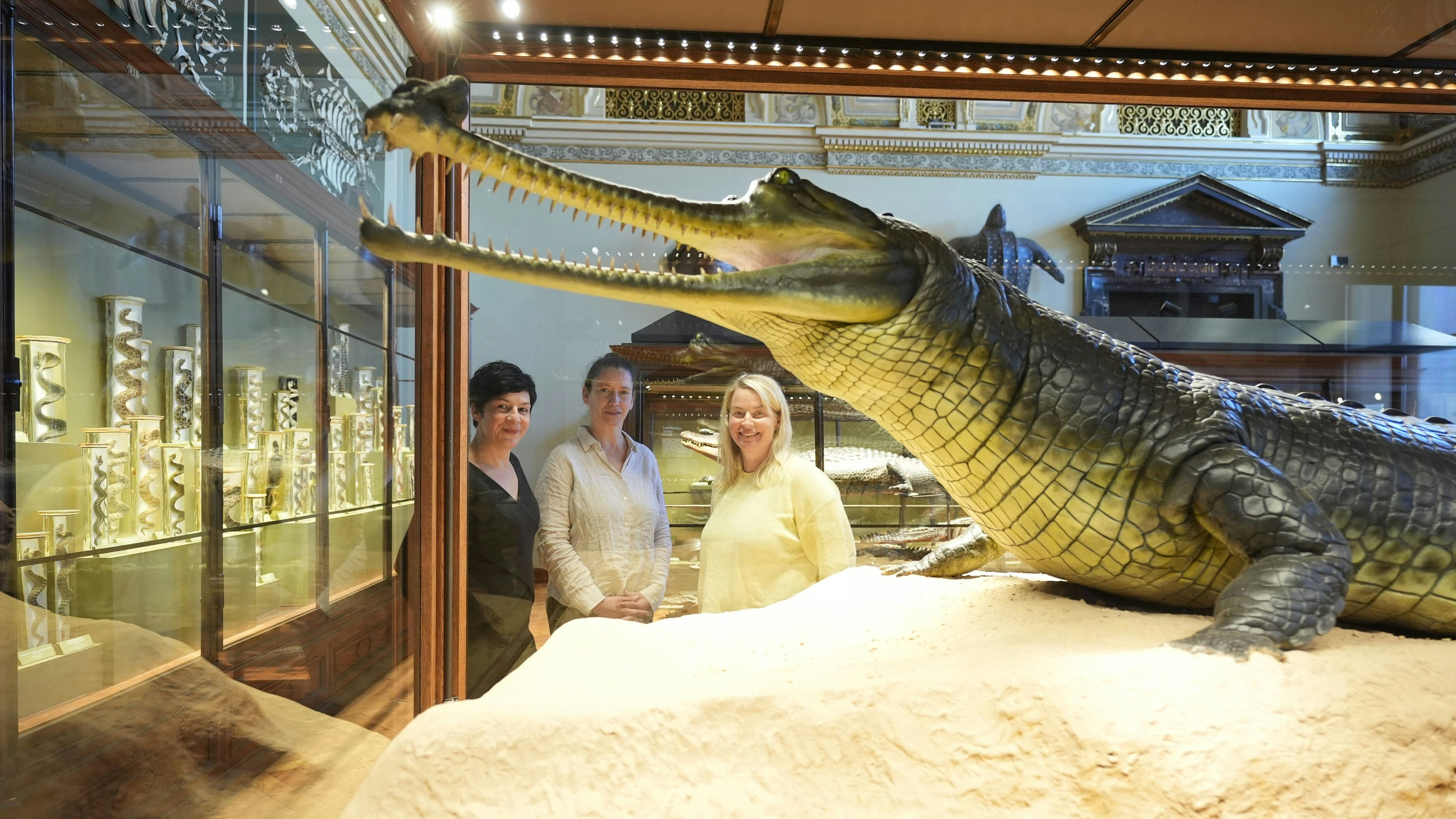 Heute.at - Schuppen ab! NHM Wien lässt 1.000 Amphibien glänzen