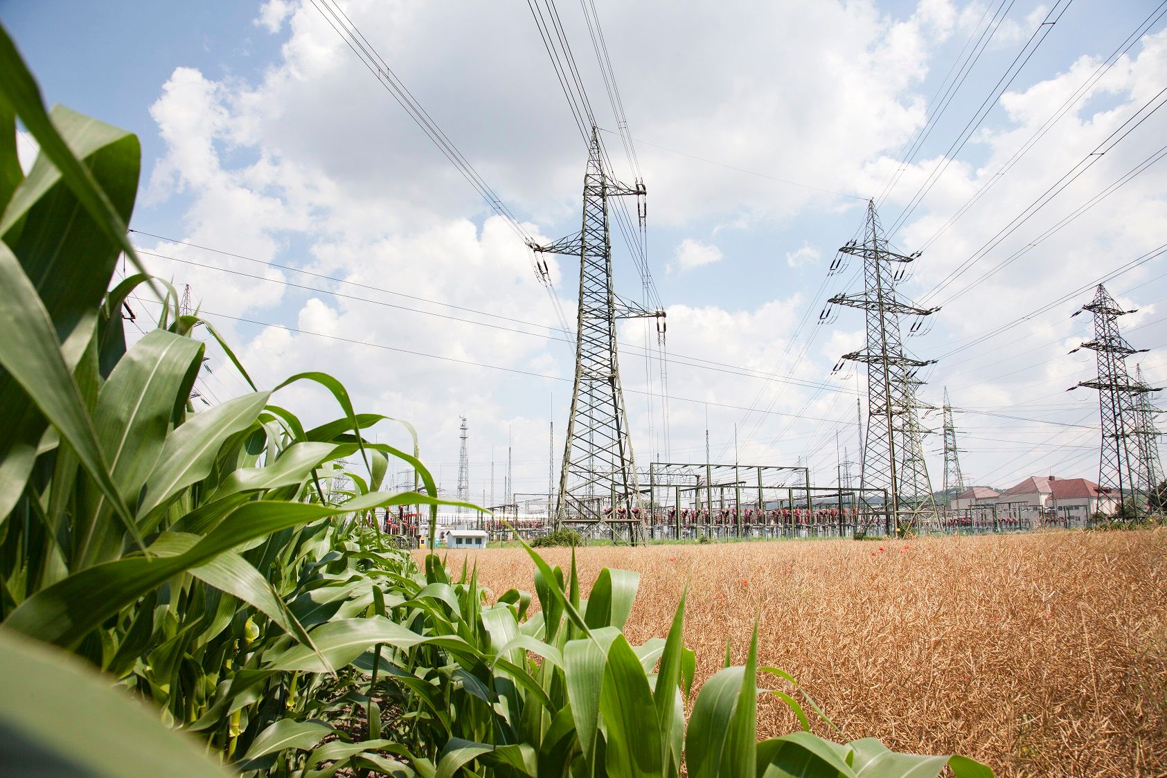 Strommasten in Niederösterreich