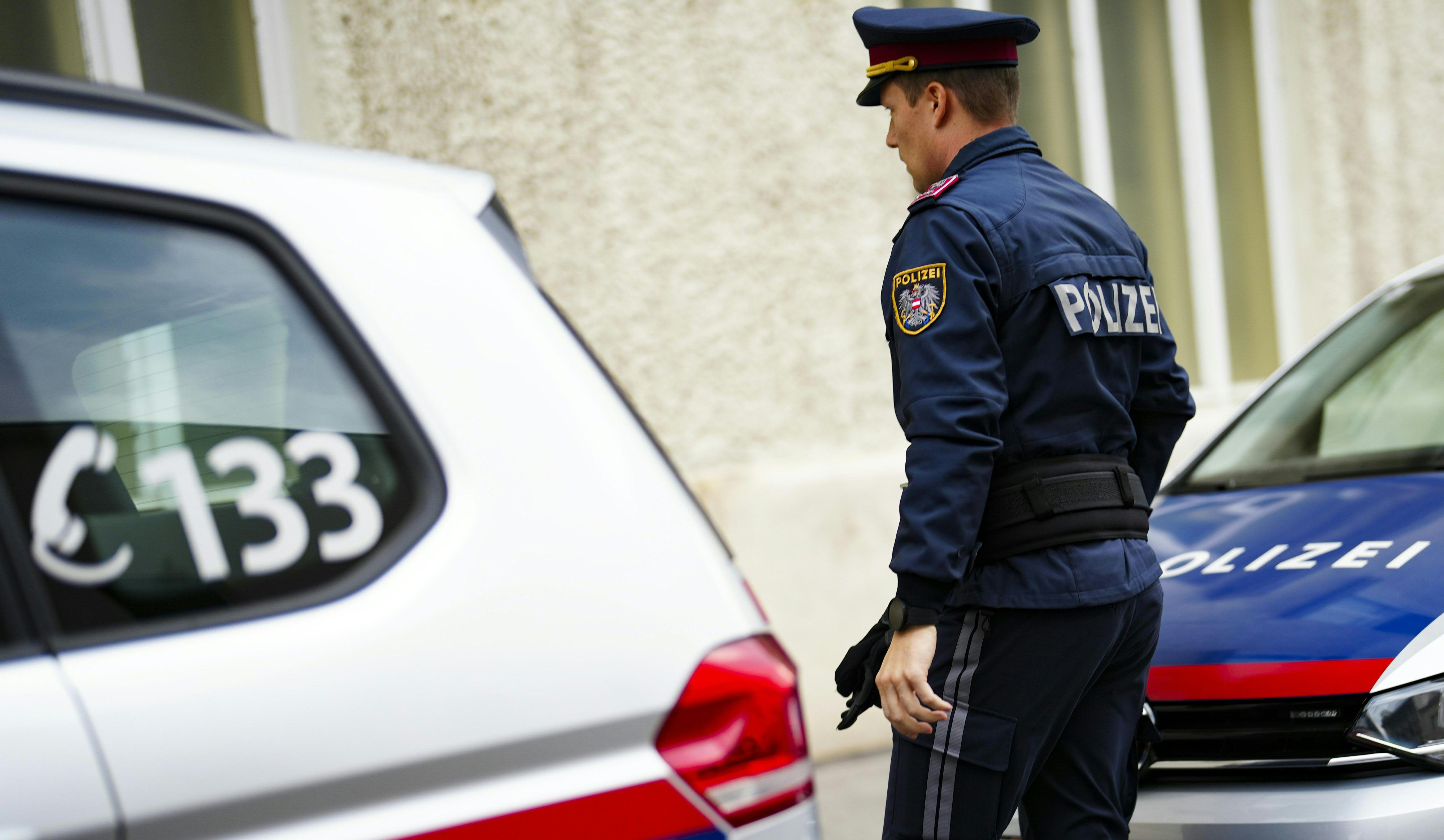 Die Polizisten konnten den Tatverdächtigen festnehmen.