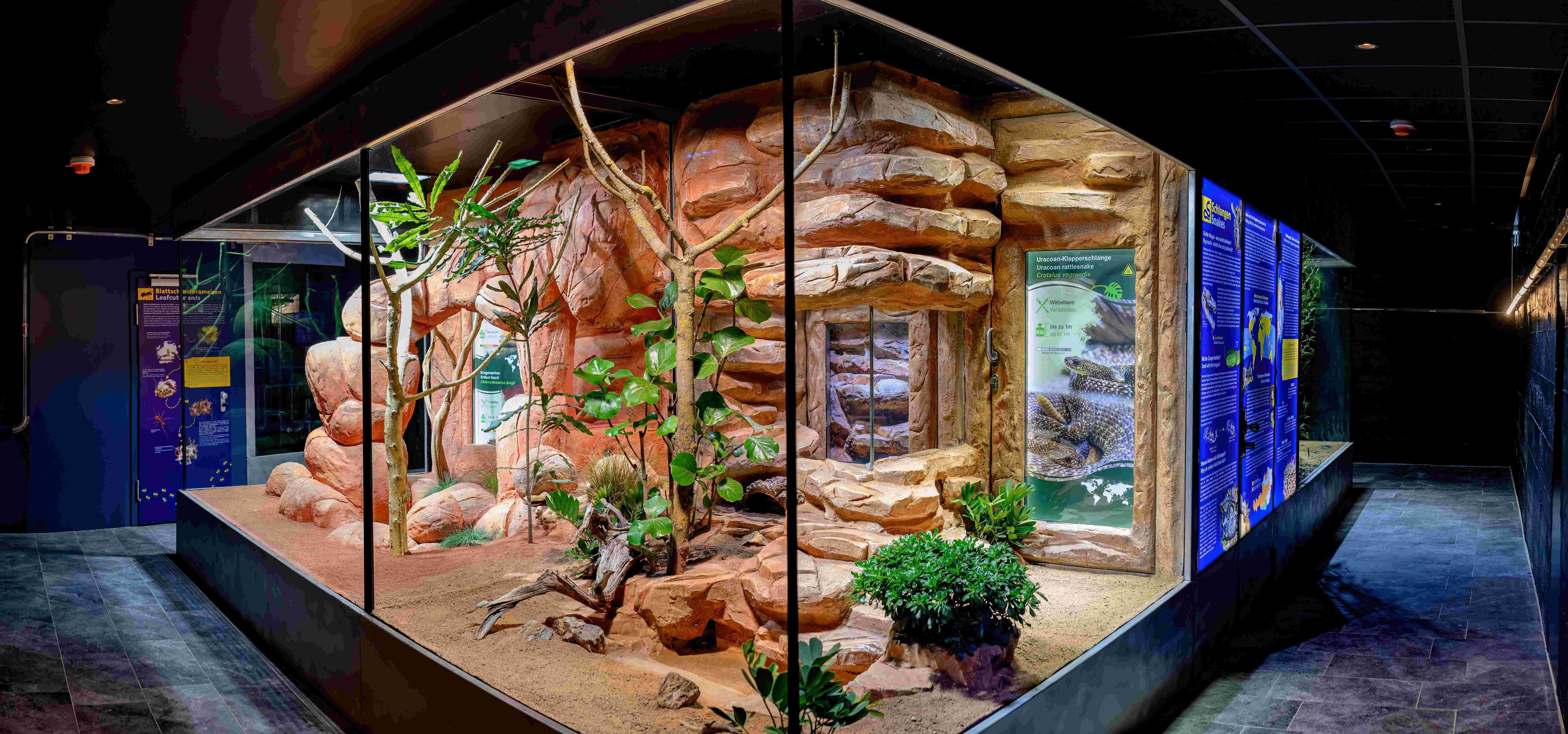 Die neue Giftschlangenanlage gilt als die modernste der ganzen Welt.