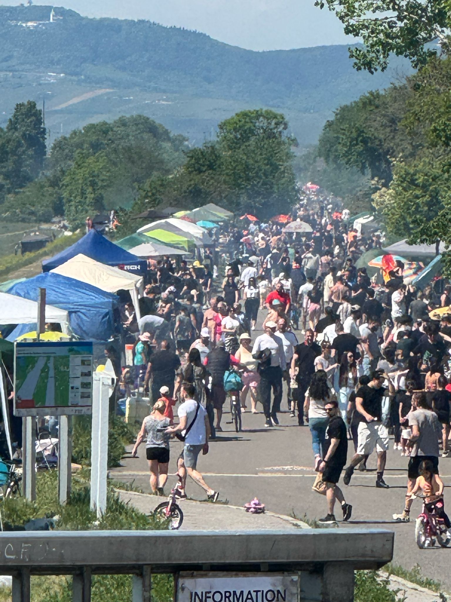 Riesiger Anstrum auf die Grillplätze auf der Donauinsel